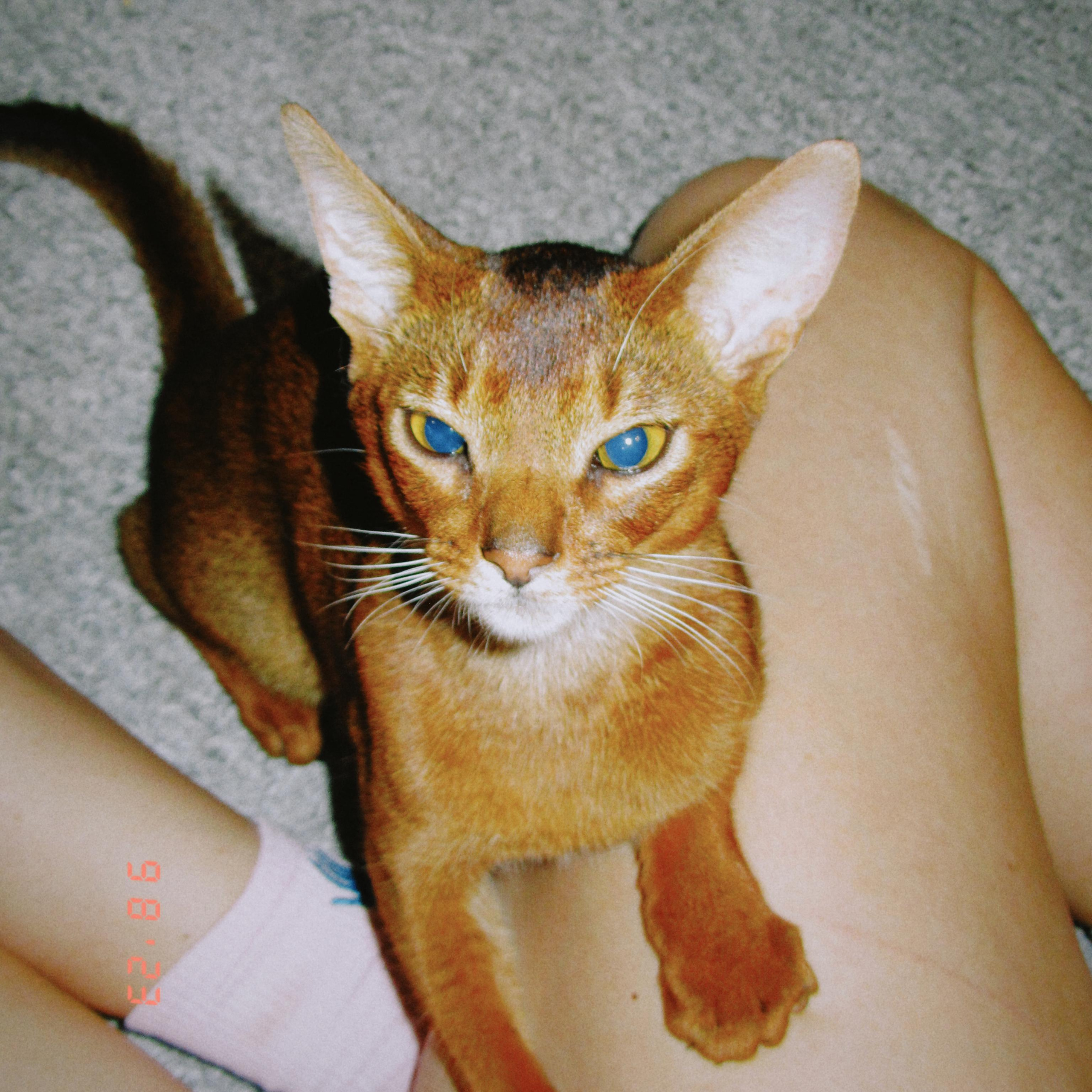 Лучшее приложение для винтажной фотографии в 2023 году. TENZO | Creative Producer / Art Director