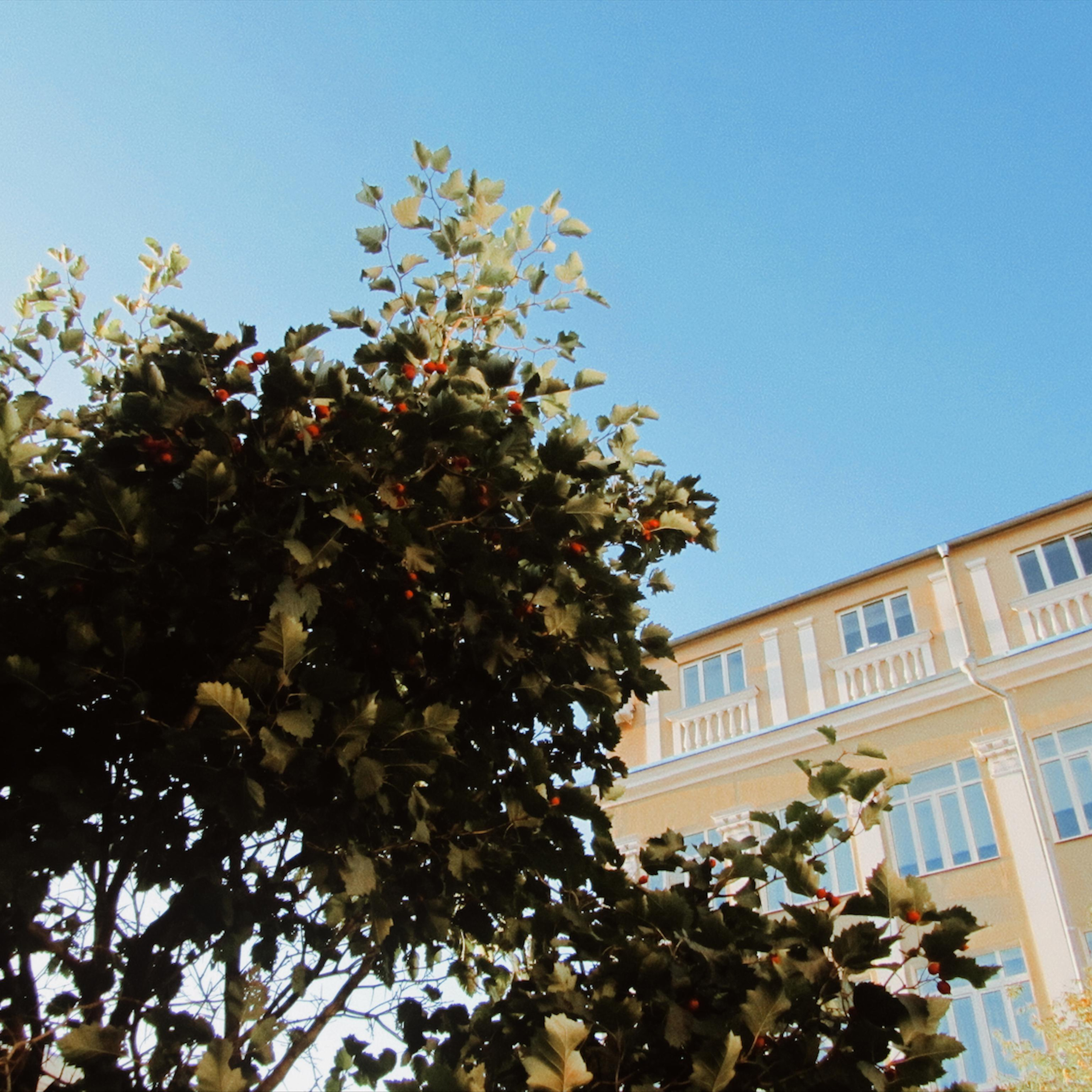 Лучшее приложение для винтажной фотографии в 2023 году. TENZO | Creative Producer / Art Director