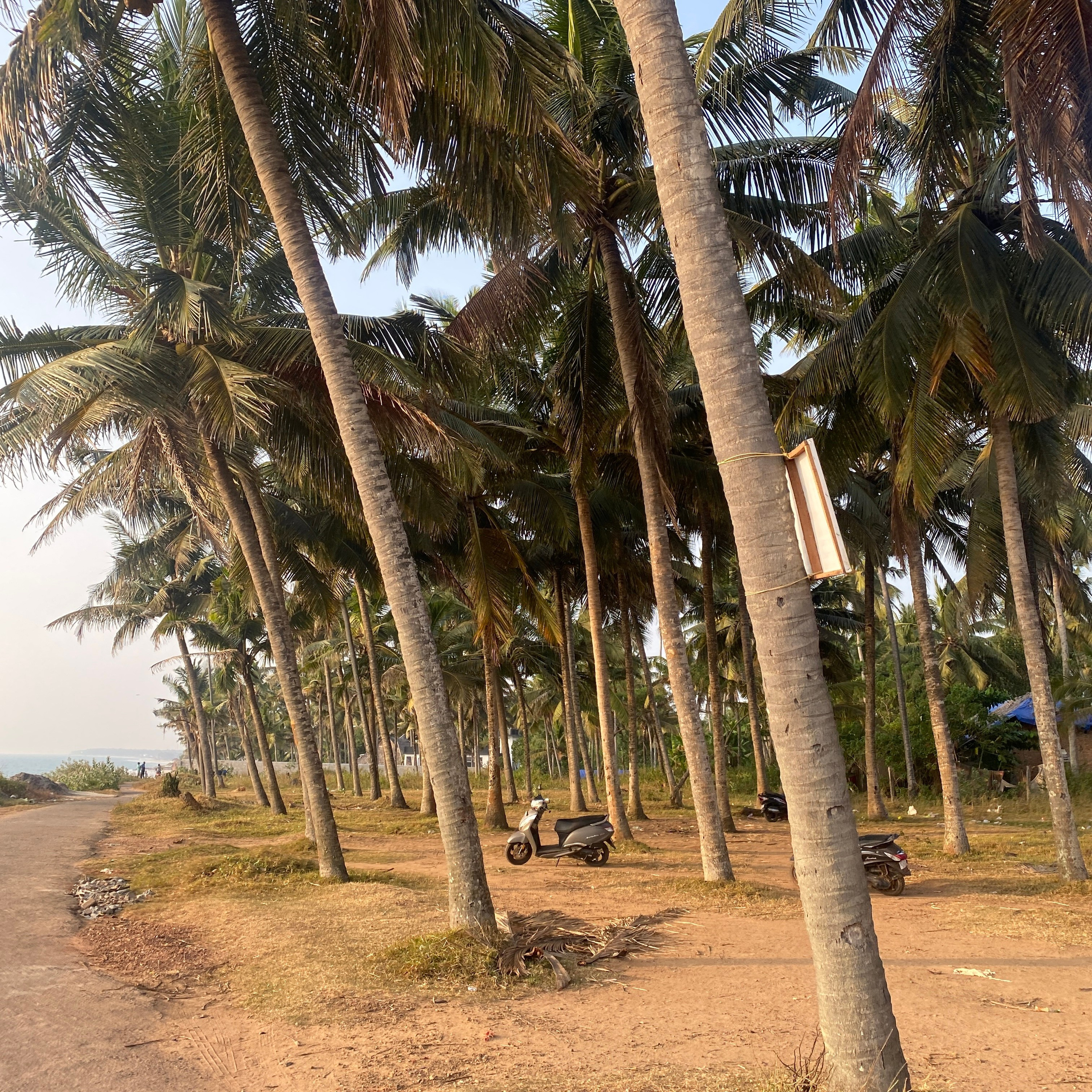 ИНДИЯ 2026. Художник, арт — терапевт, преподаватель рисования Шабырова Анна, Москва