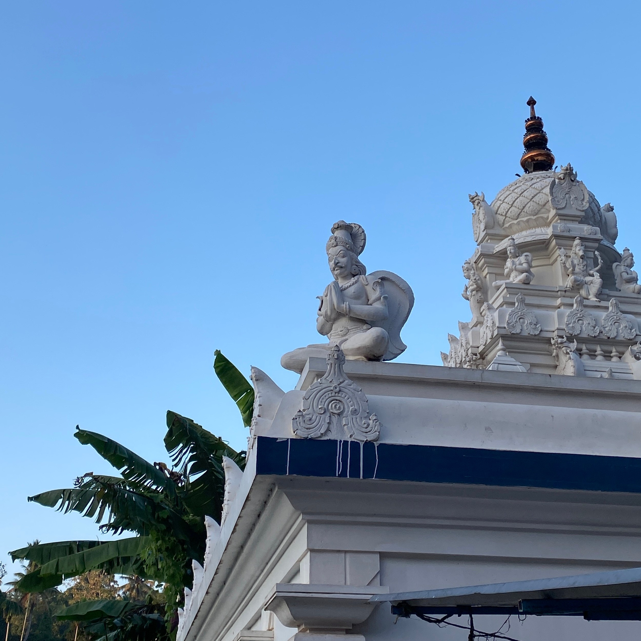 ИНДИЯ 2026. Художник, арт — терапевт, преподаватель рисования Шабырова Анна, Москва