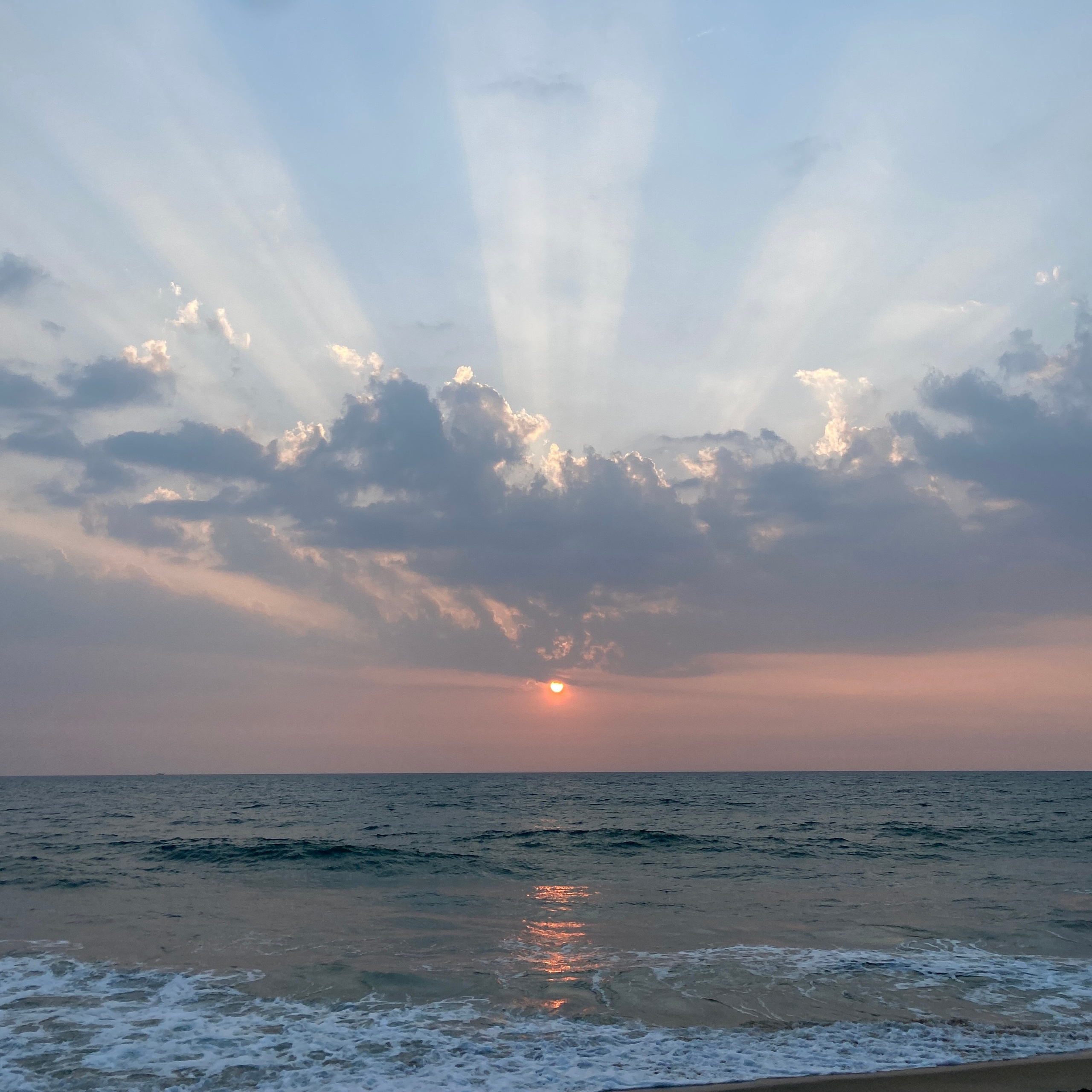 ИНДИЯ 2026. Художник, арт — терапевт, преподаватель рисования Шабырова Анна, Москва