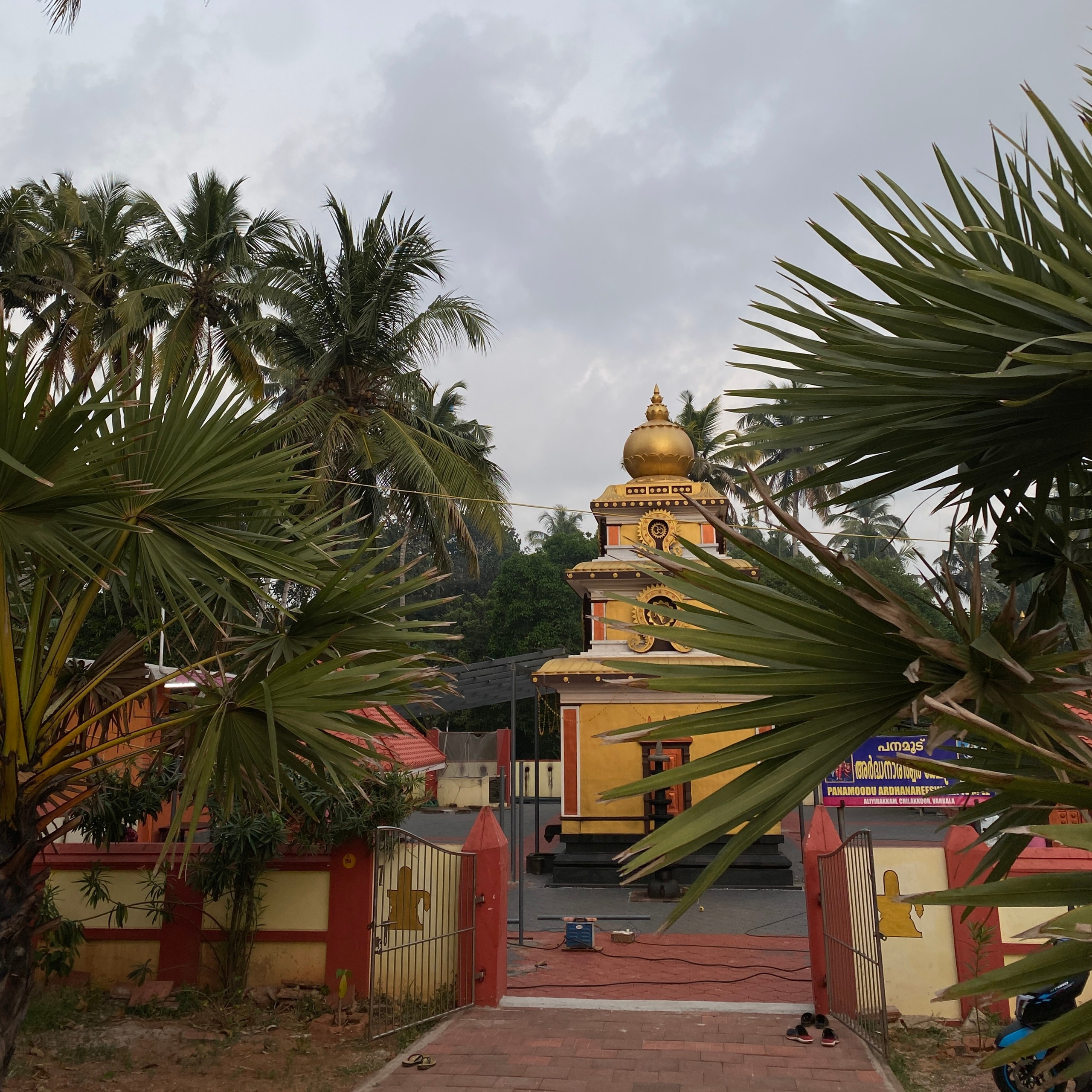 ИНДИЯ 2026. Художник, арт — терапевт, преподаватель рисования Шабырова Анна, Москва