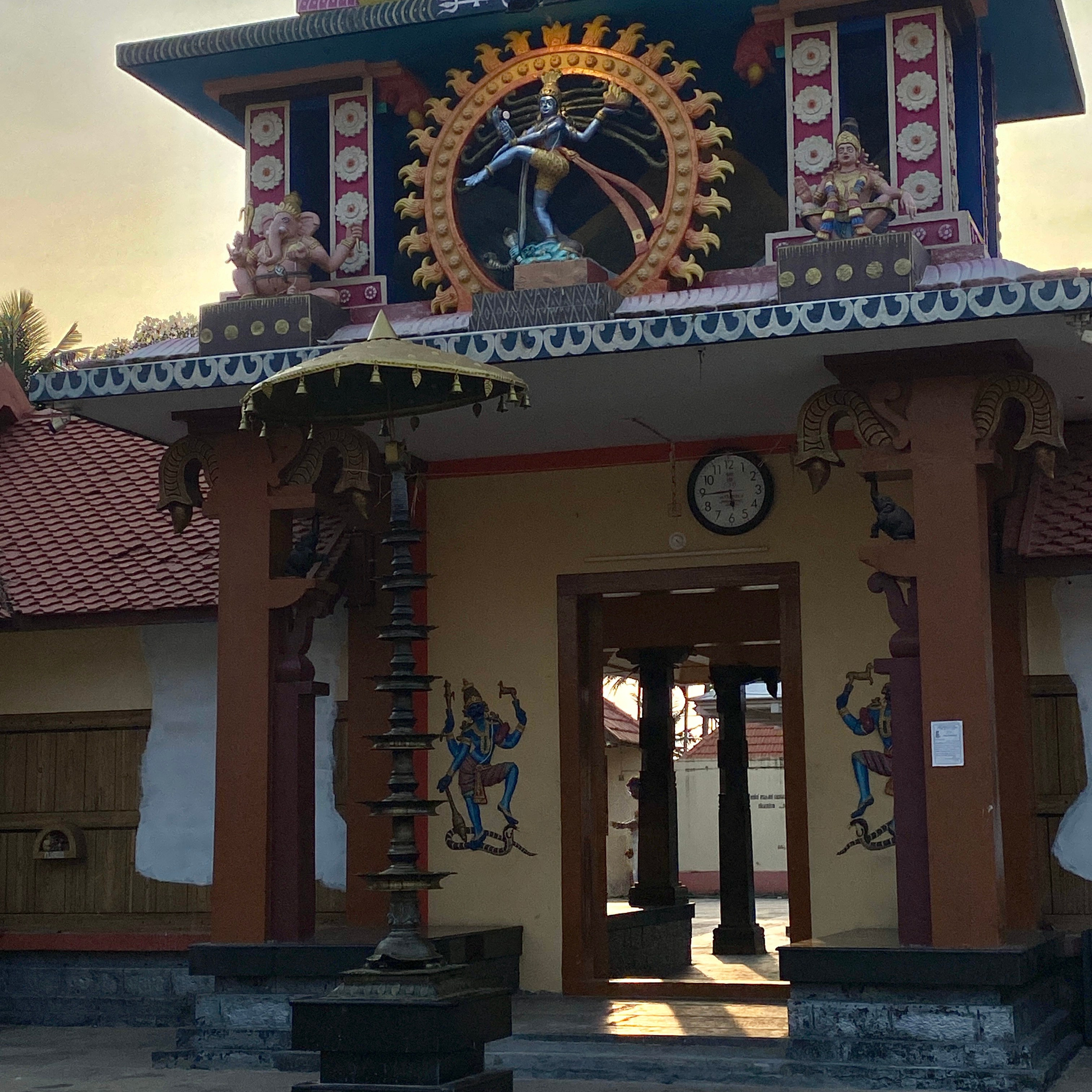 ИНДИЯ 2026. Художник, арт — терапевт, преподаватель рисования Шабырова Анна, Москва