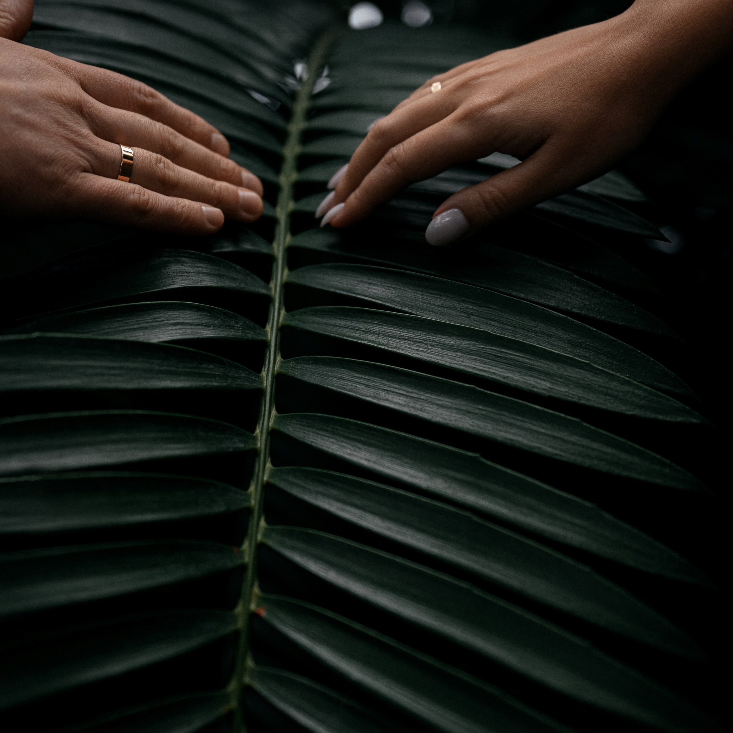 Свадьба в Москве. Места для фотосессии. Свадебный и семейный фотограф Виктория Носачёва. Щелково, Москва и МО