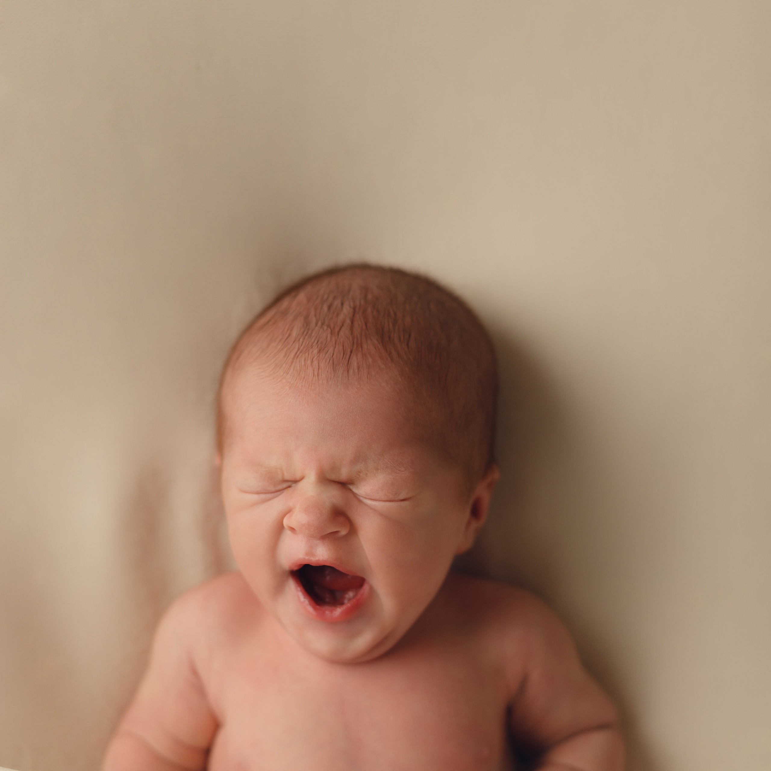 Новорожденные. Света