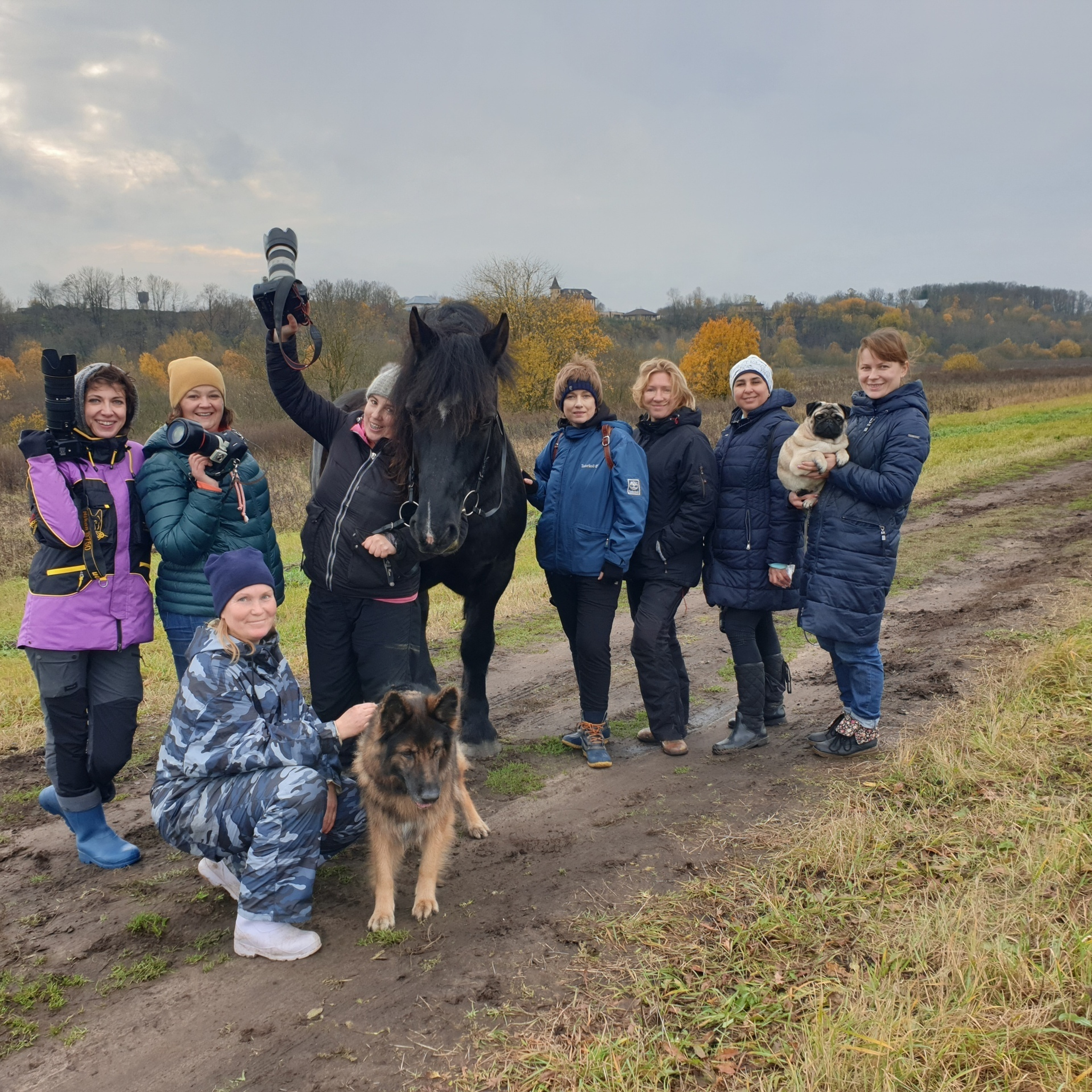 Мастер Класс «Собаки и Лошади». Фотограф анималист в Санкт-Петербурге Светлана Писарева