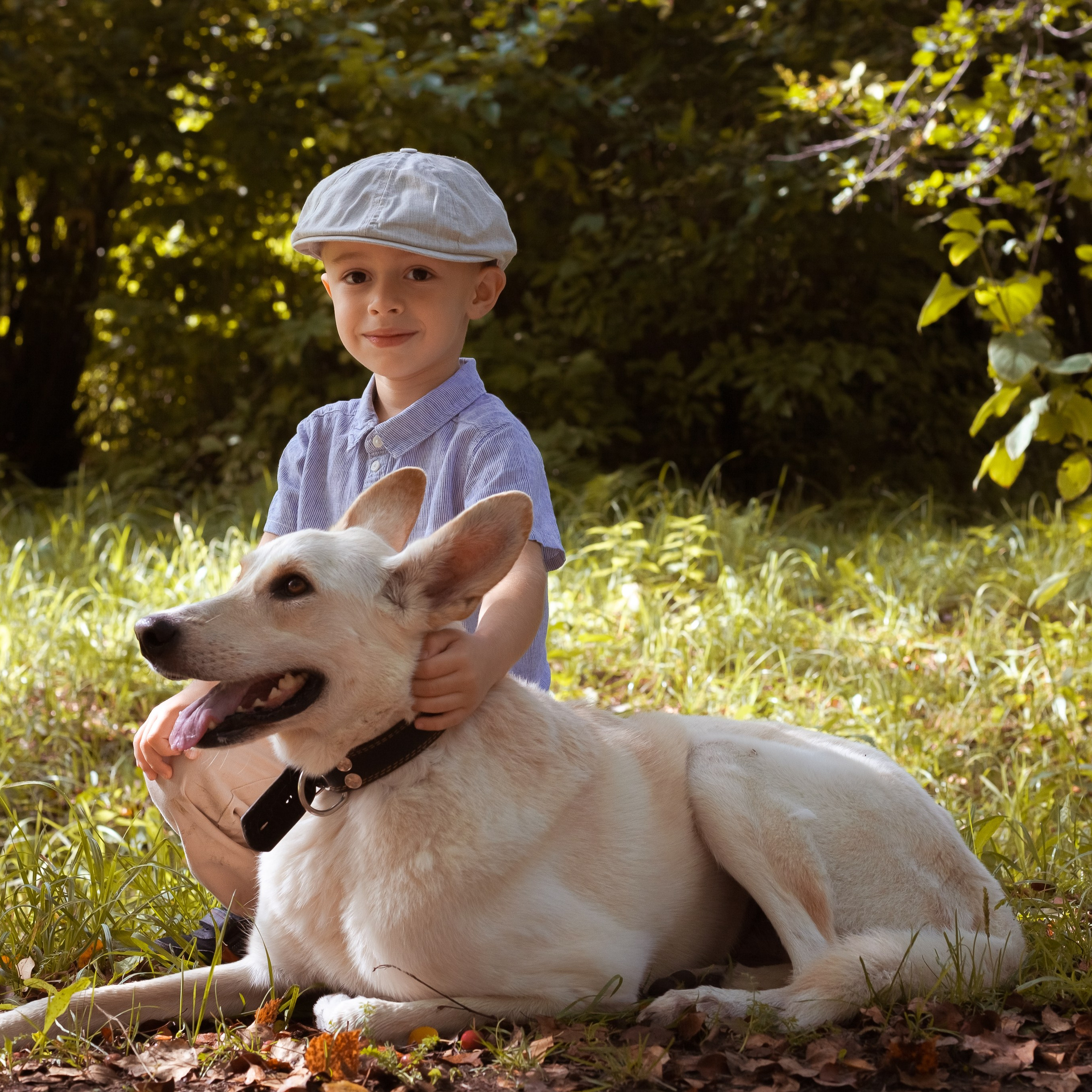 Мама, папа, сын и собака