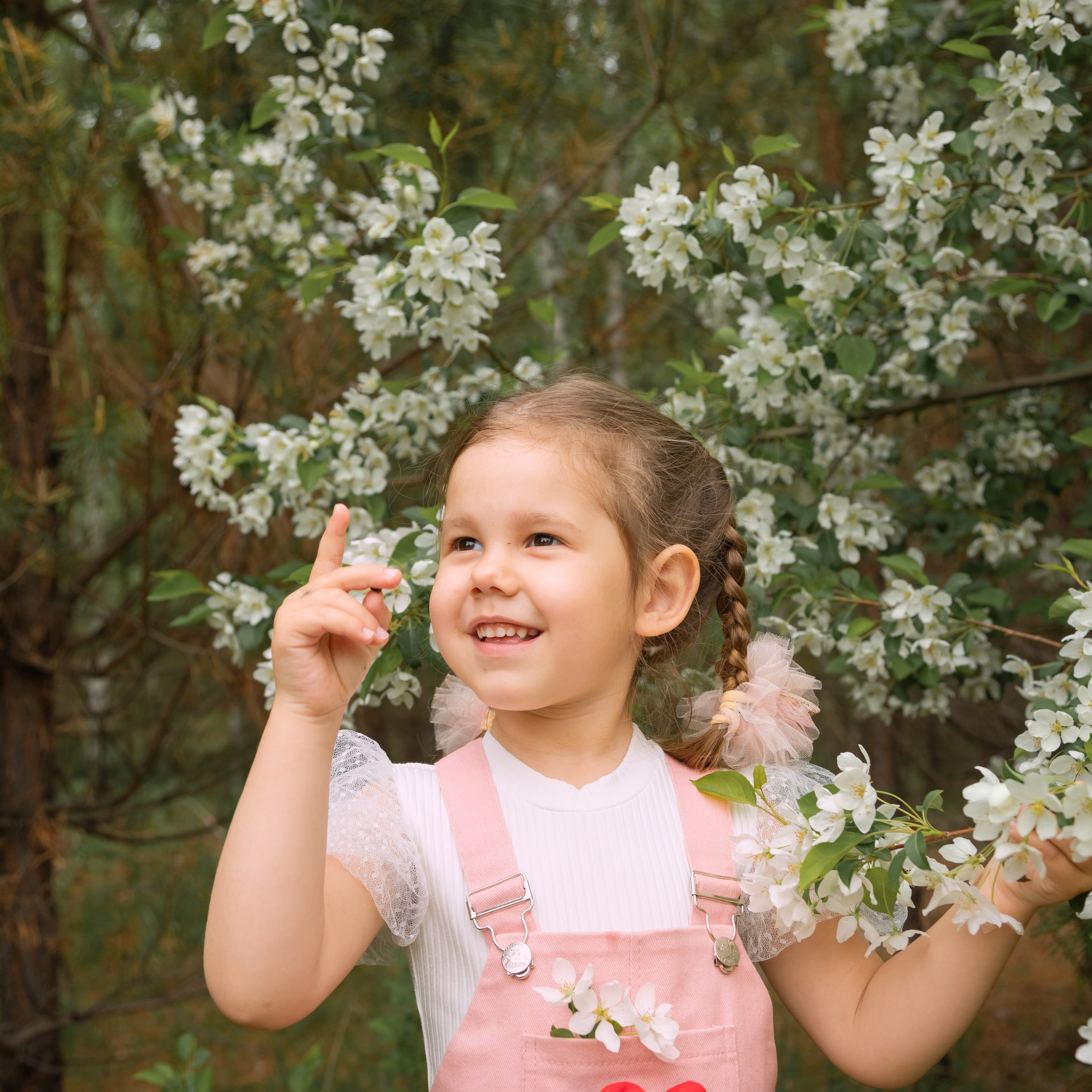 Яблоневый цвет