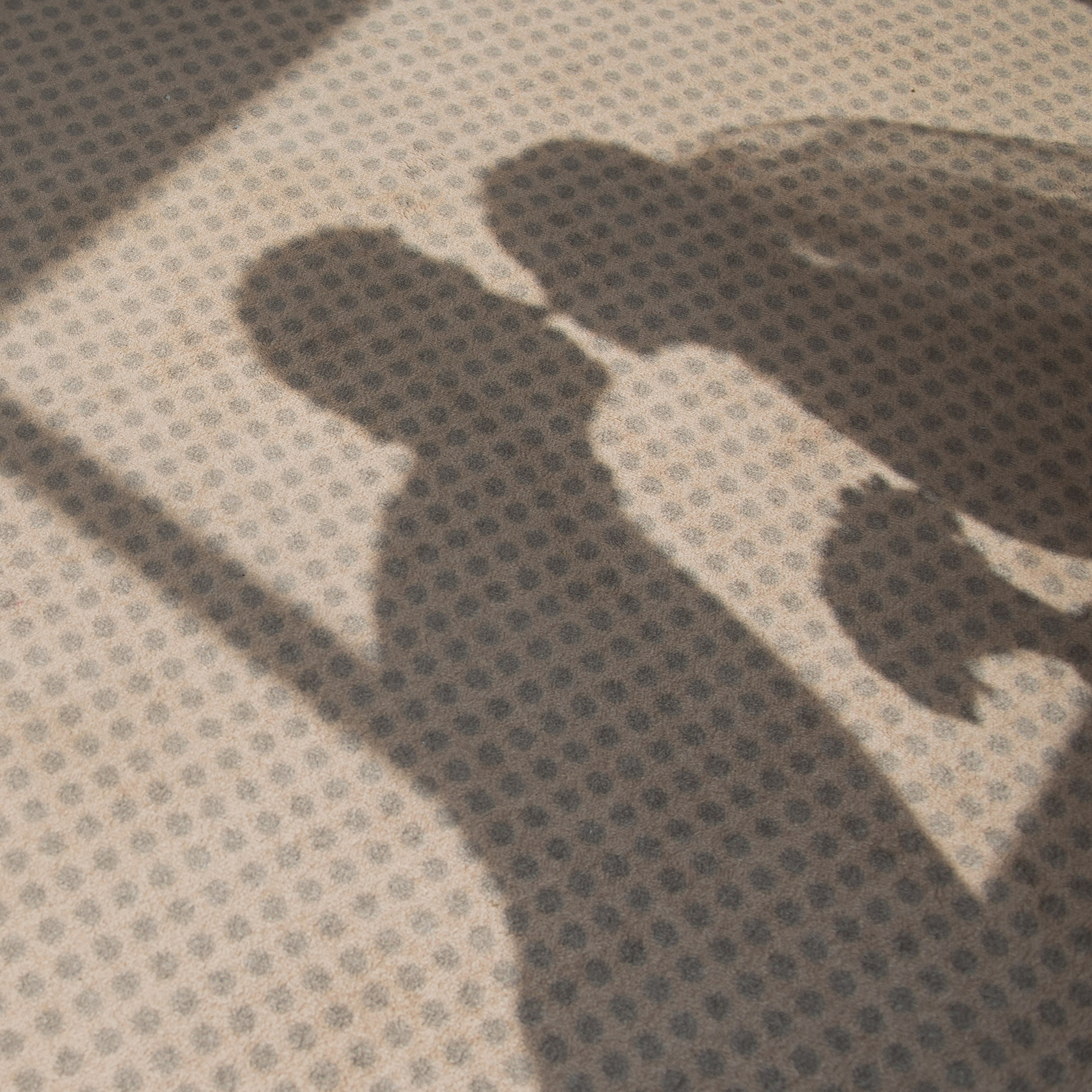 Фотограф Рамиль Фасхутдинов