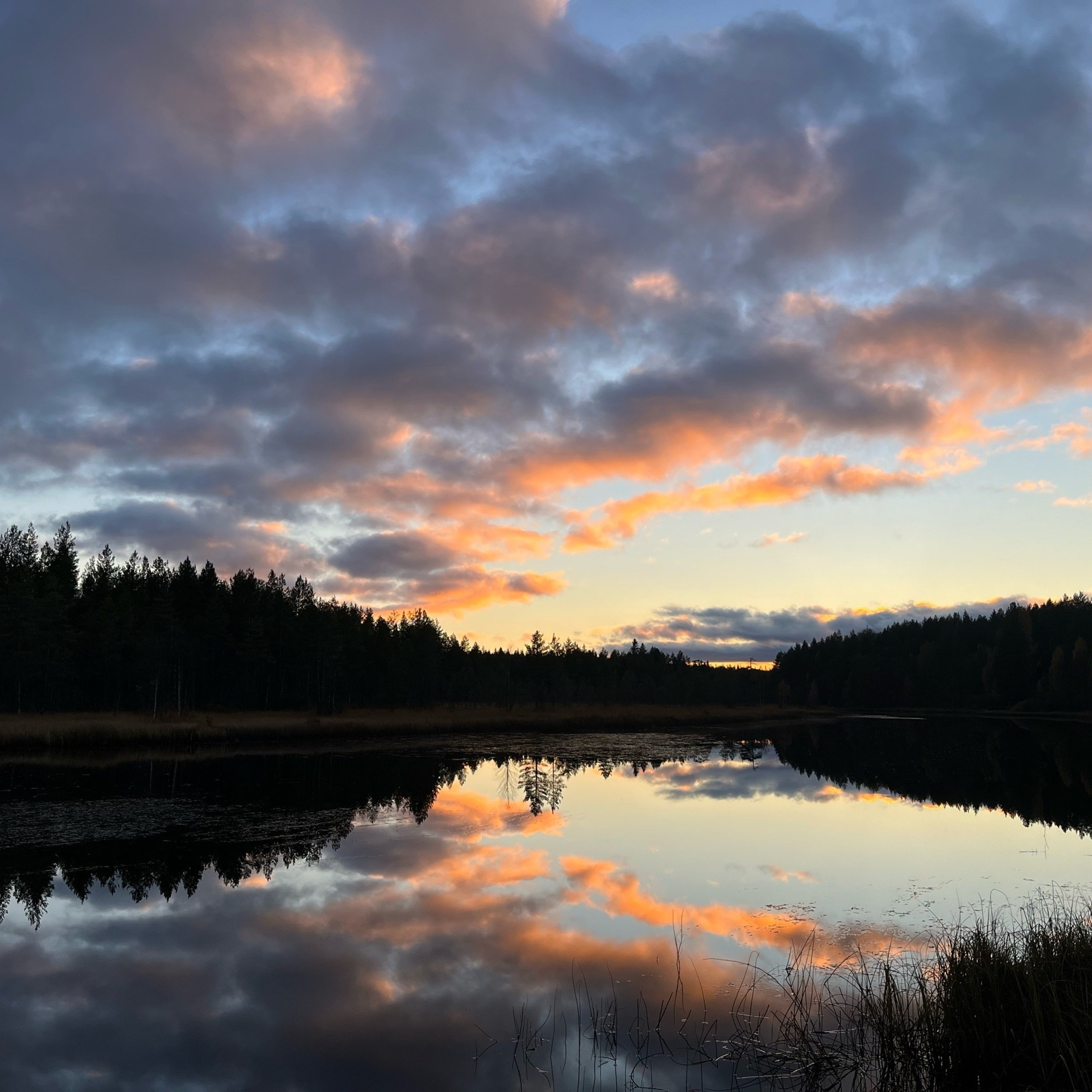 Северный пленер в карельской глуши. Творческий лагерь для взрослых