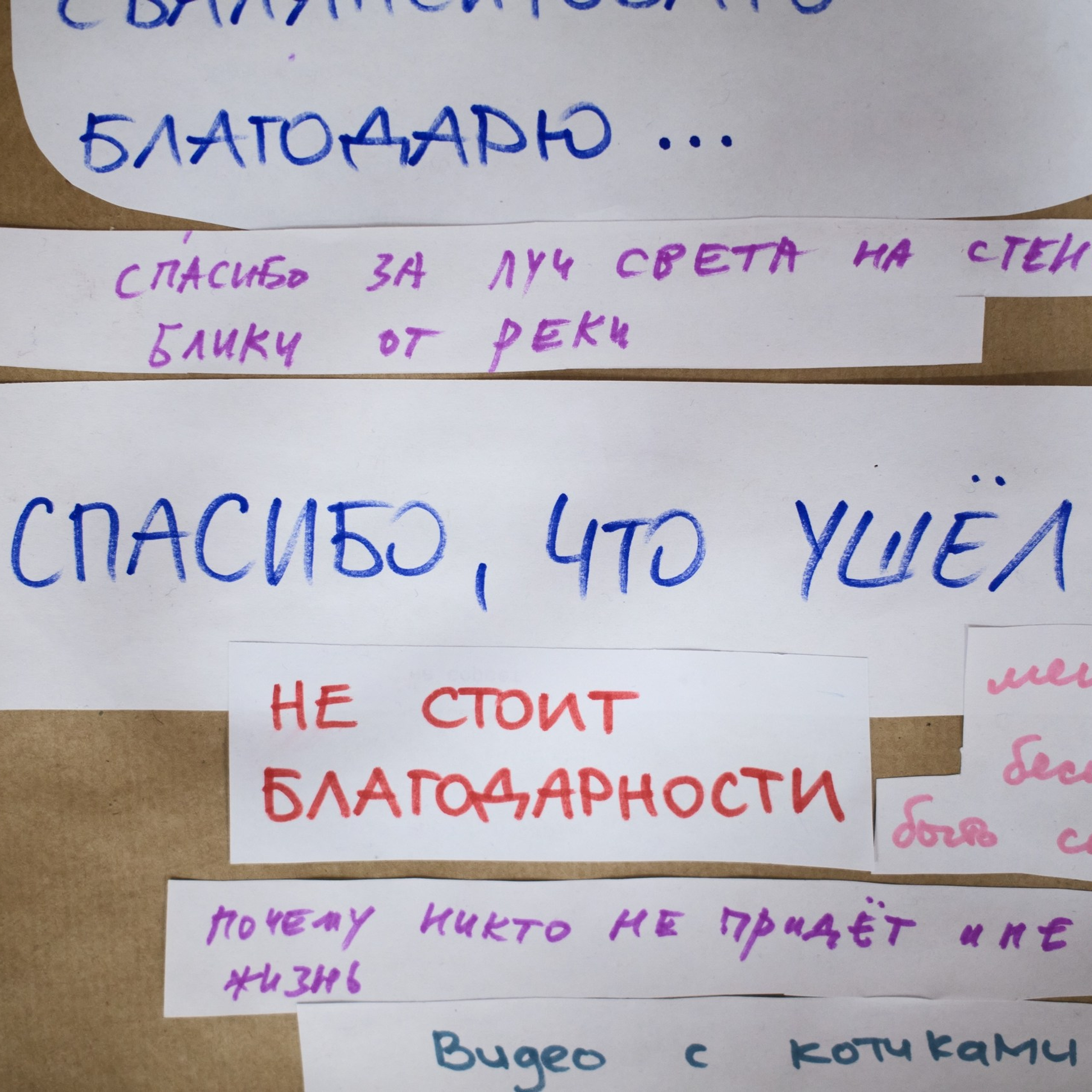 Подведение итогов в конце года, практика жалоб и благодарностей, видео с котиками