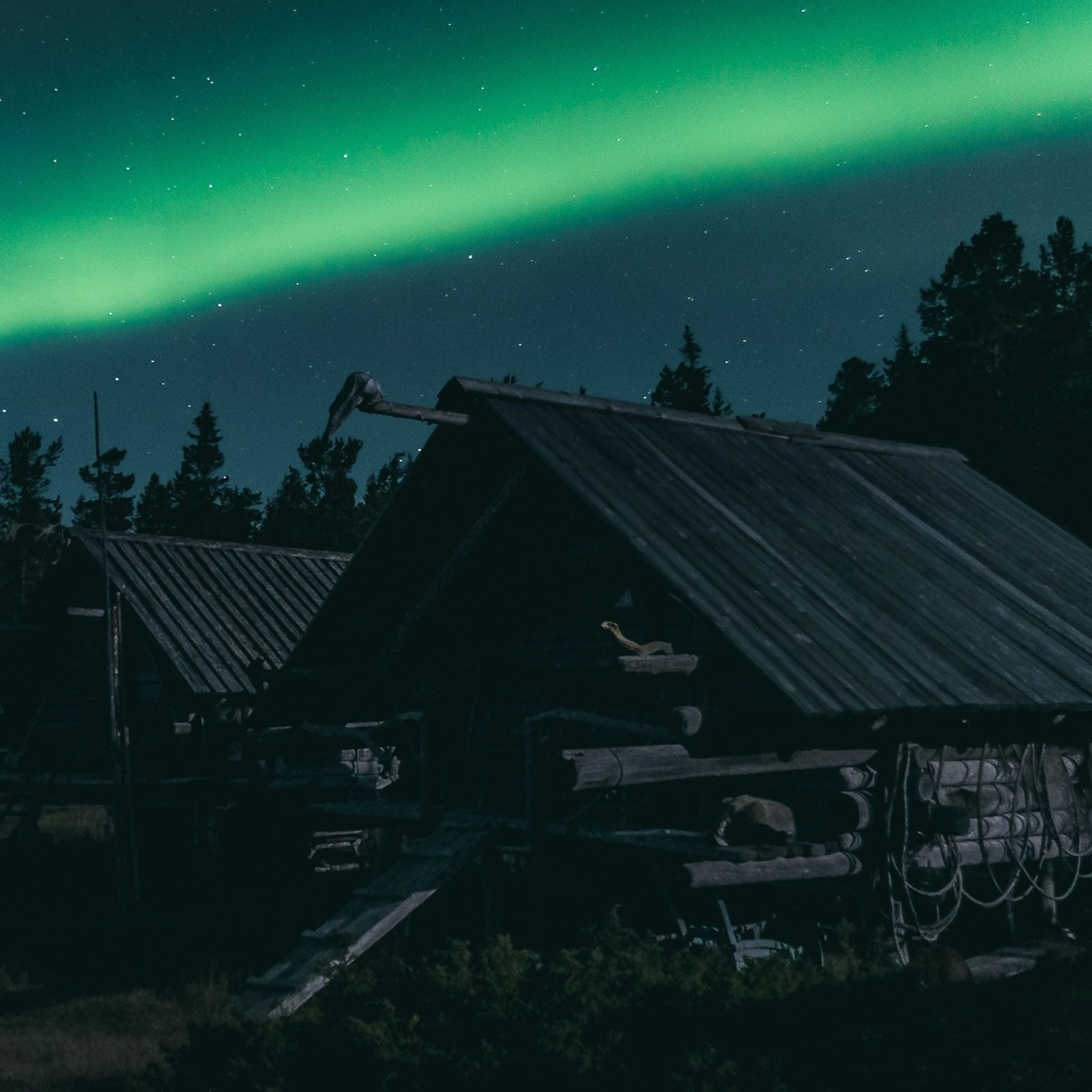 Музыкальная экспедиция на Белое море. Творческий лагерь для взрослых
