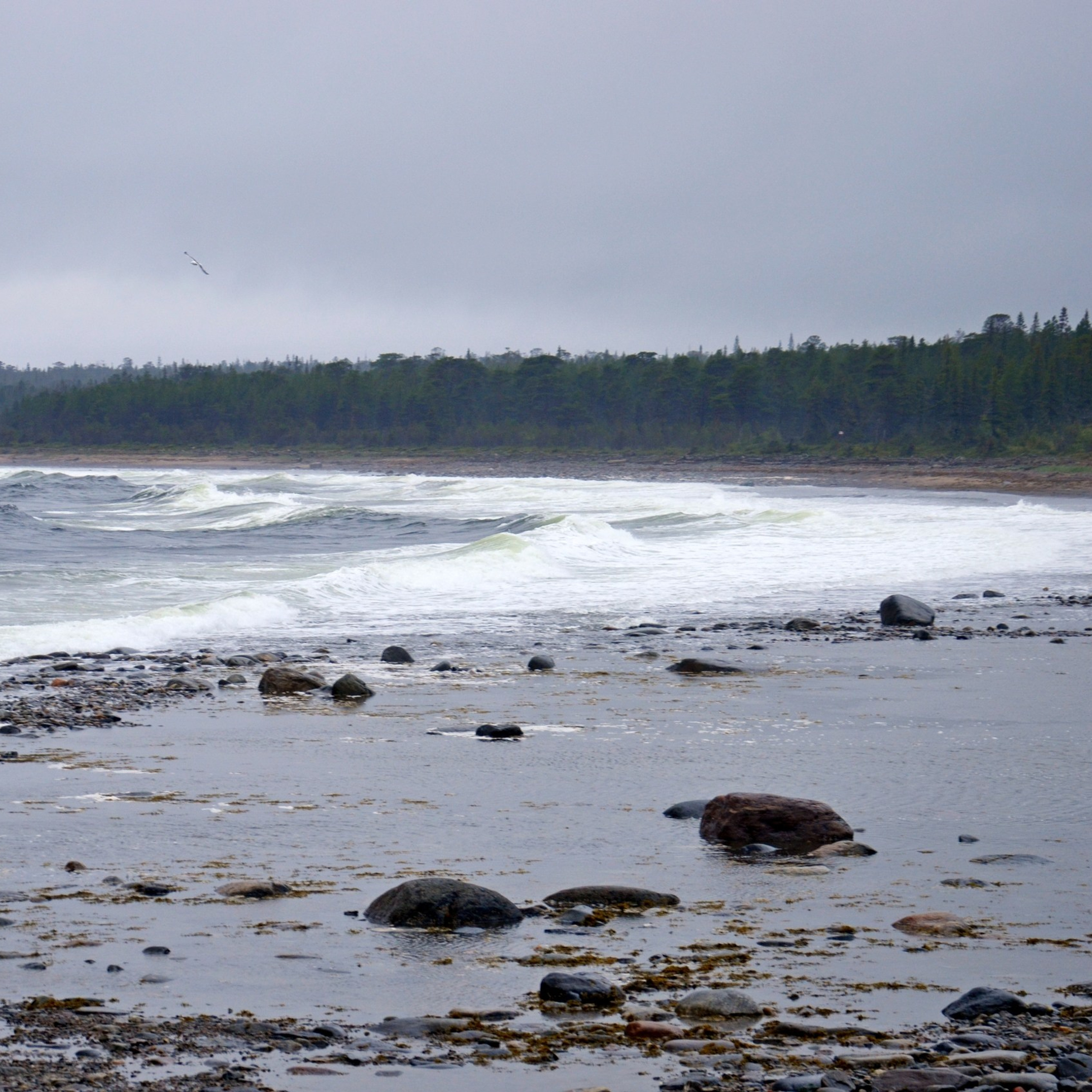 Музыкальная экспедиция на Белое море. Творческий лагерь для взрослых