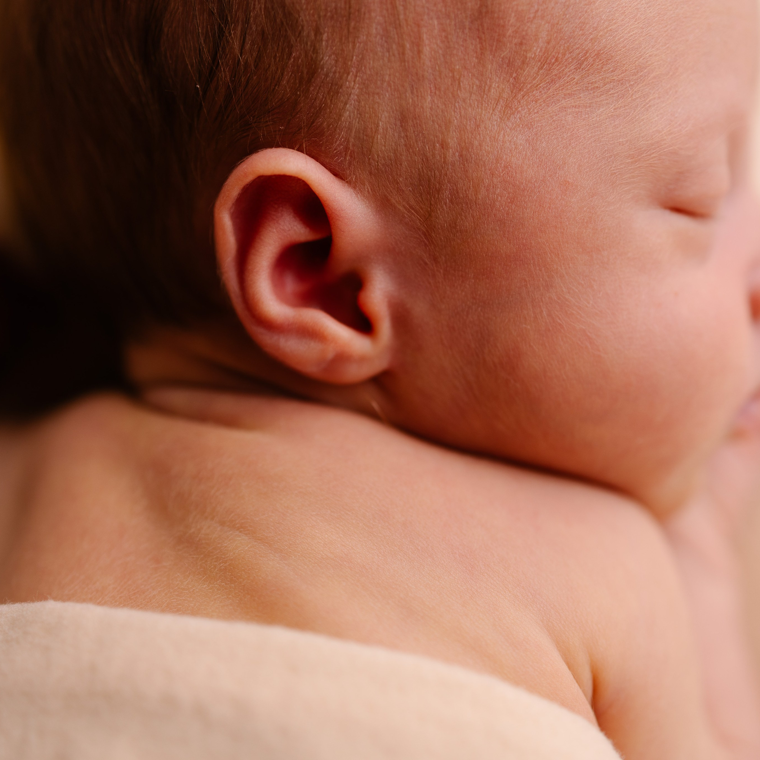 Klassisches Newborn -Fotoshooting. Fotografin in München Dasha Antipina