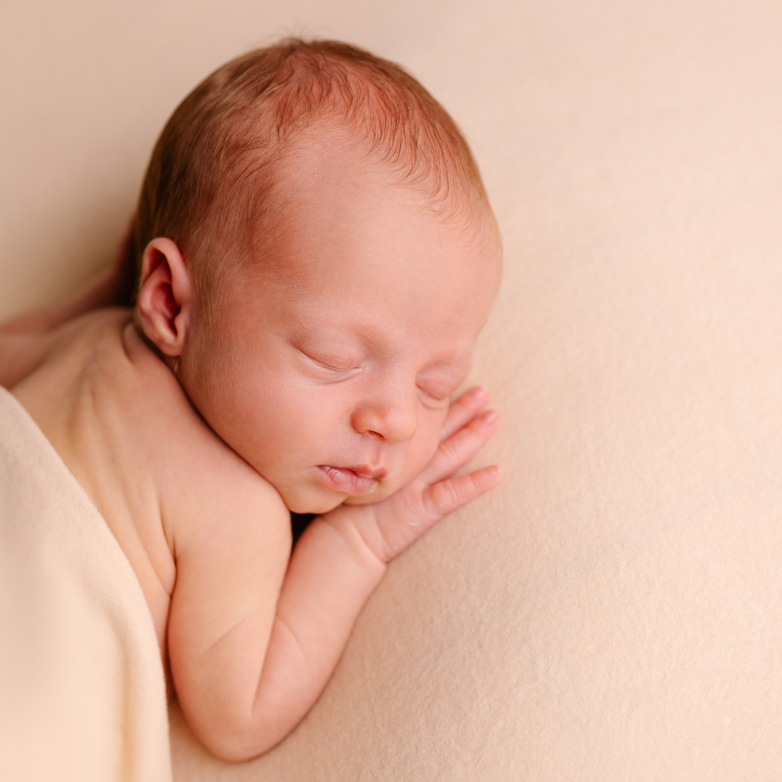 Klassisches Newborn -Fotoshooting. Fotografin in München Dasha Antipina