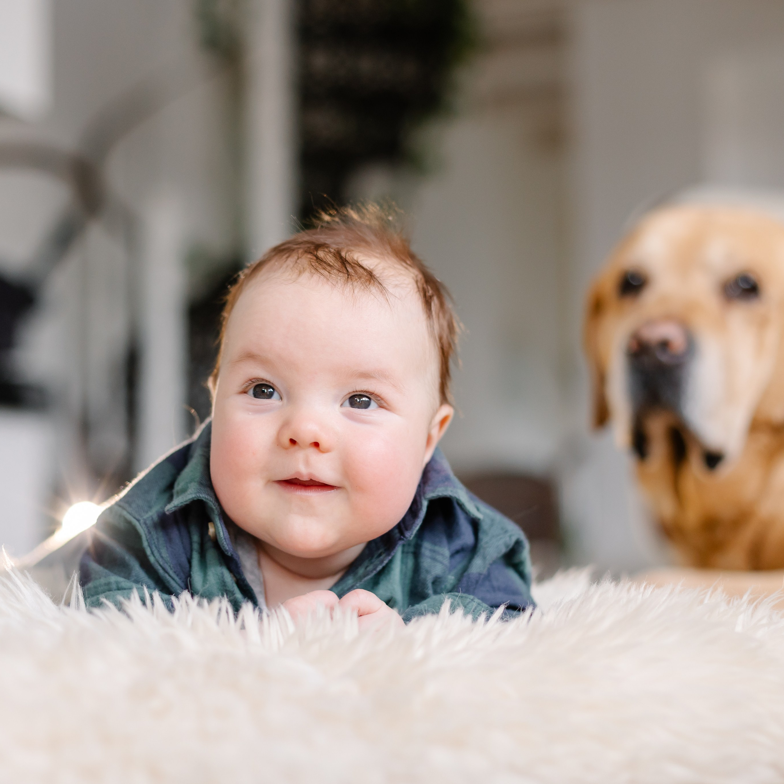 Семейная фотосессия в Мюнхене. Семейный фотограф в Мюнхене Даша Антипина