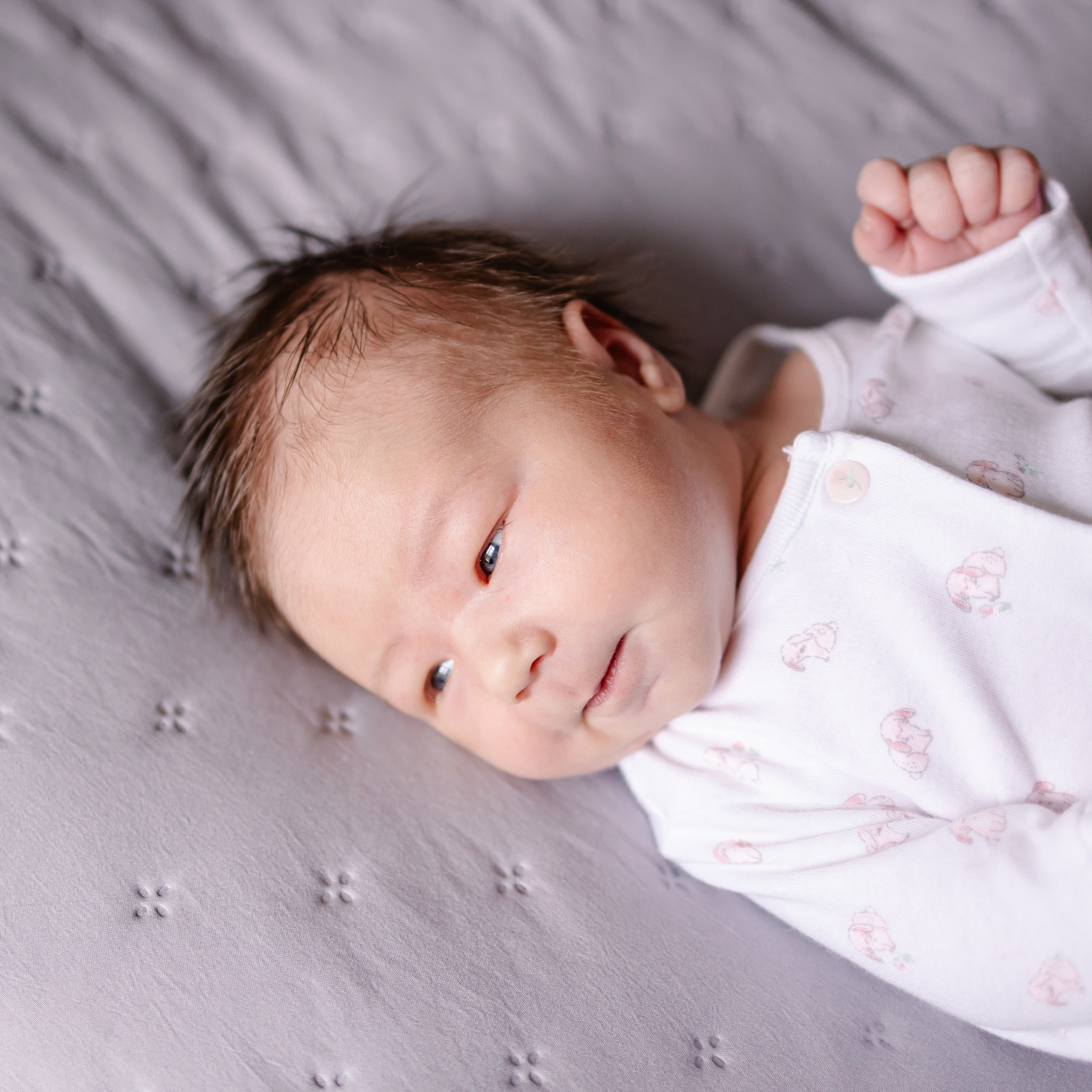 Lifestyle Newborn Fotoshooting. Fotografin in München Dasha Antipina