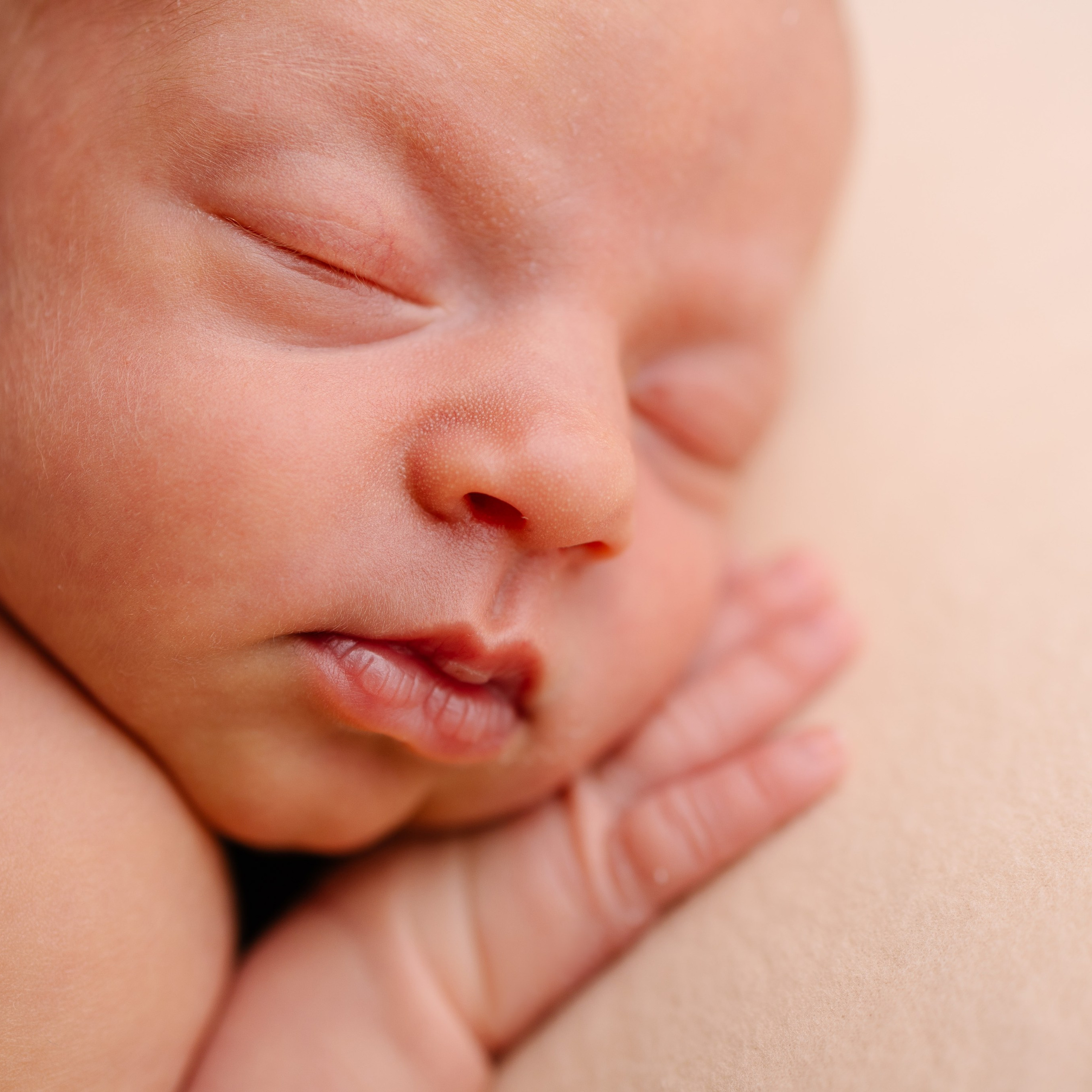 Klassisches Newborn -Fotoshooting. Fotografin in München Dasha Antipina