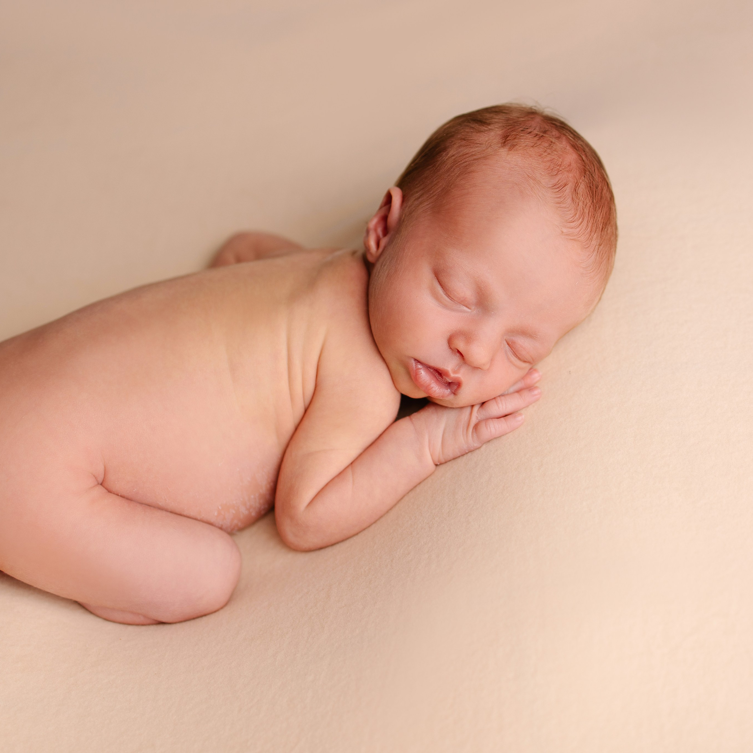 Klassisches Newborn -Fotoshooting. Fotografin in München Dasha Antipina