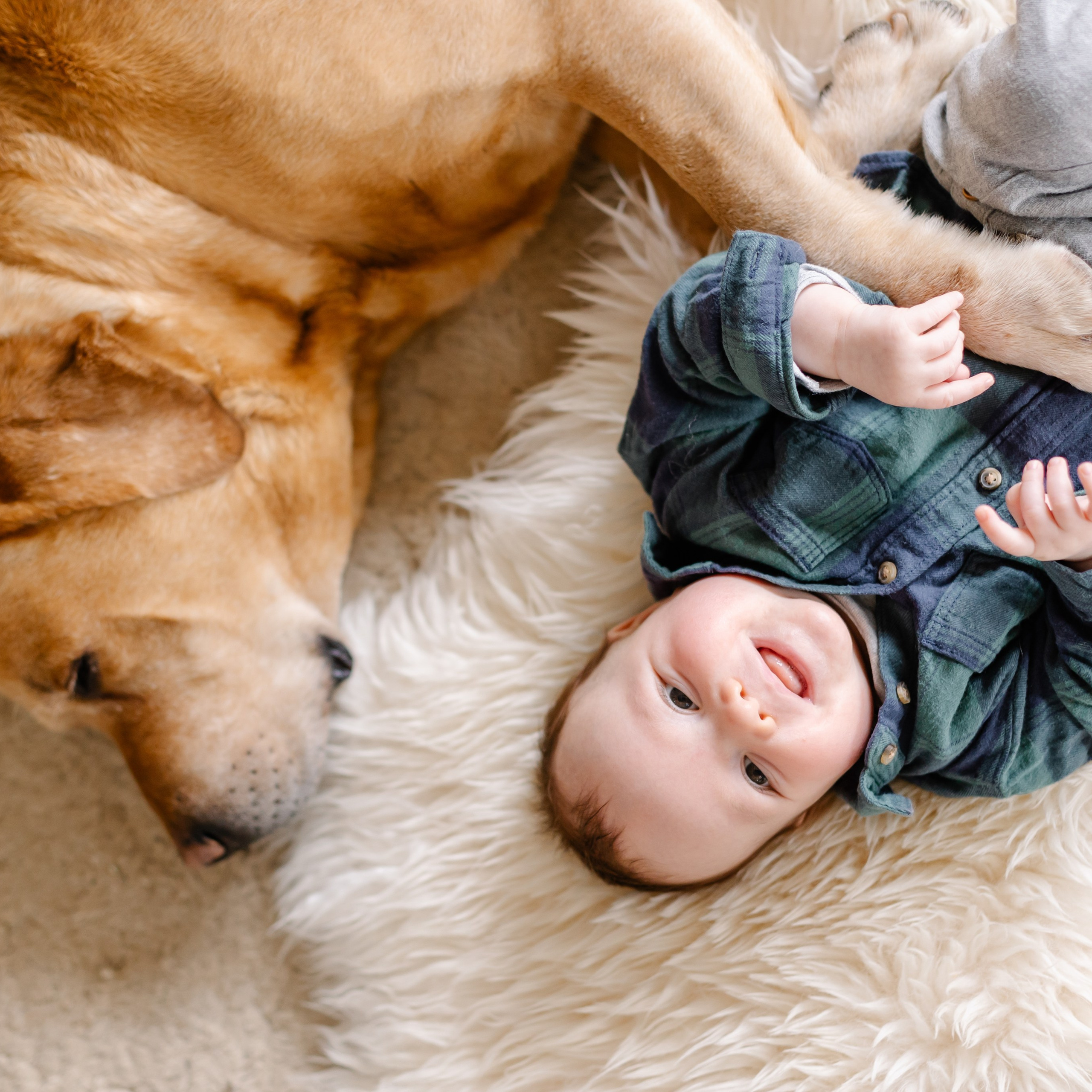 Семейная фотосессия в Мюнхене. Семейный фотограф в Мюнхене Даша Антипина