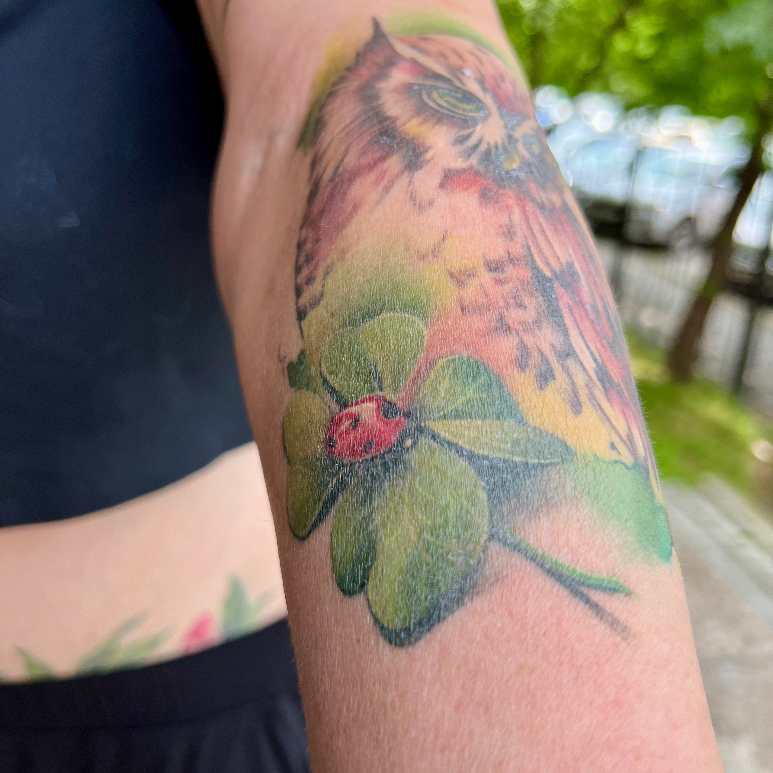 Татьяна Мухина. Обучение тату Хабаровск. Диплом гос.образца. татуировки Хабаровск