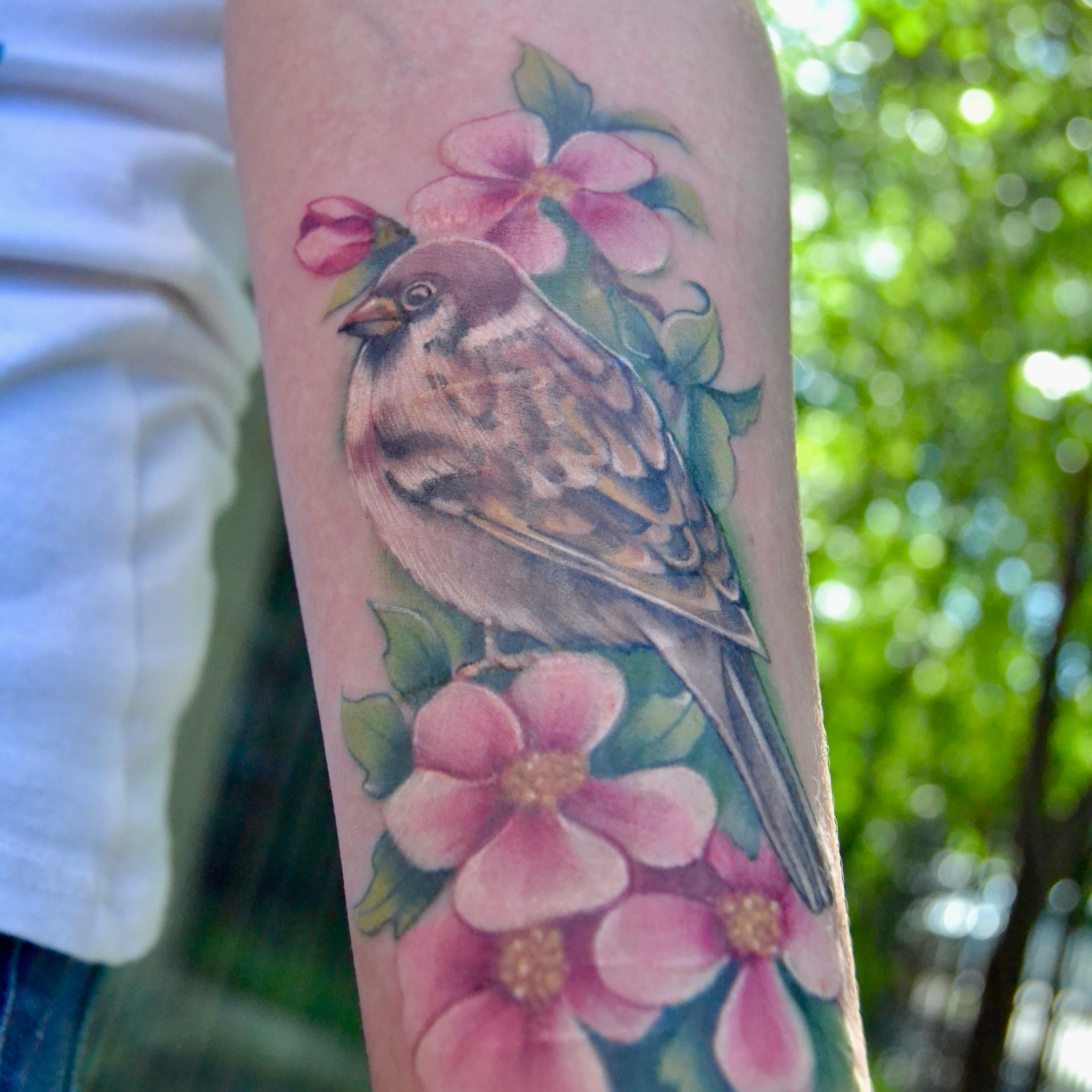 Татьяна Мухина. Обучение тату Хабаровск. Диплом гос.образца. татуировки Хабаровск