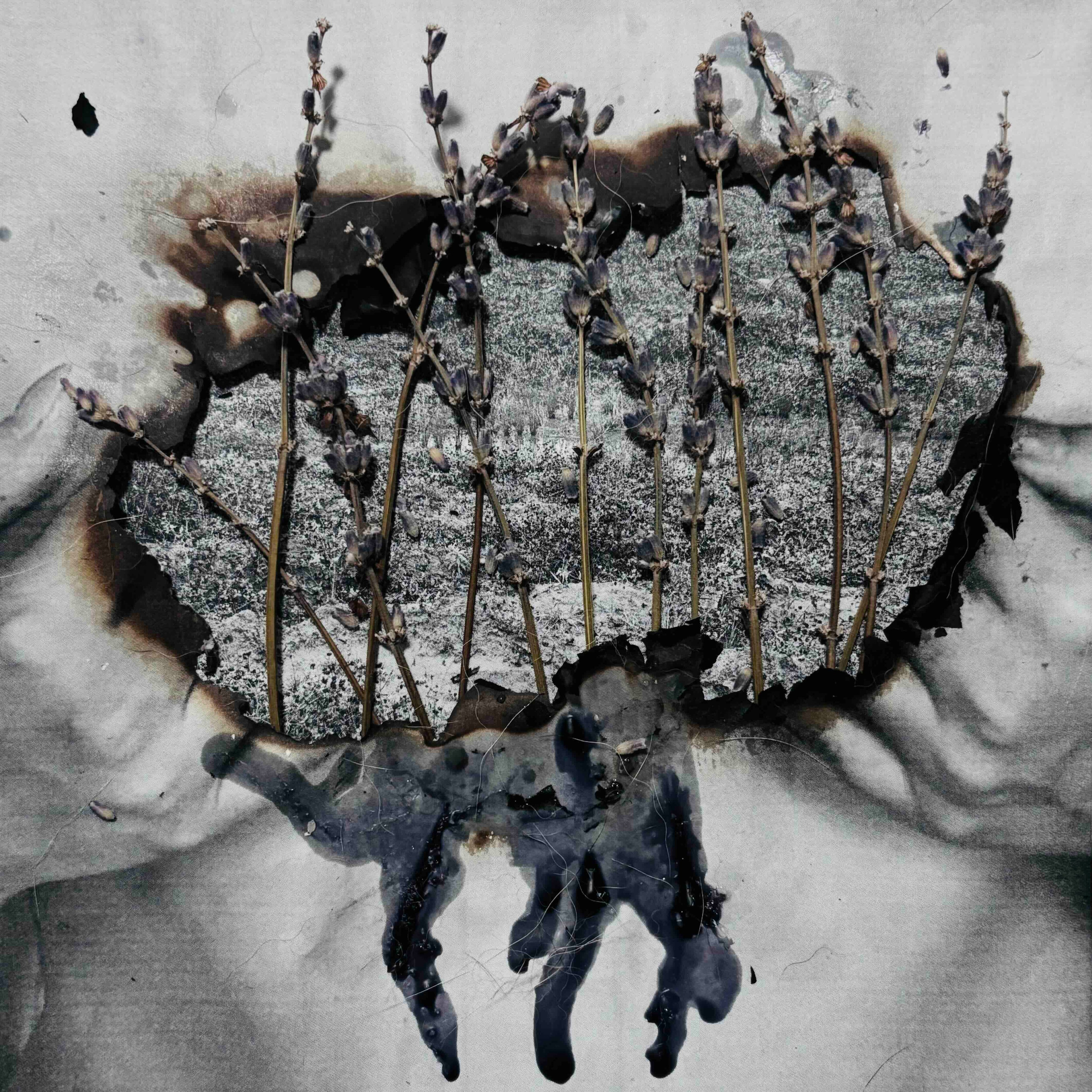 Укрытие. Катрин Эдельвак