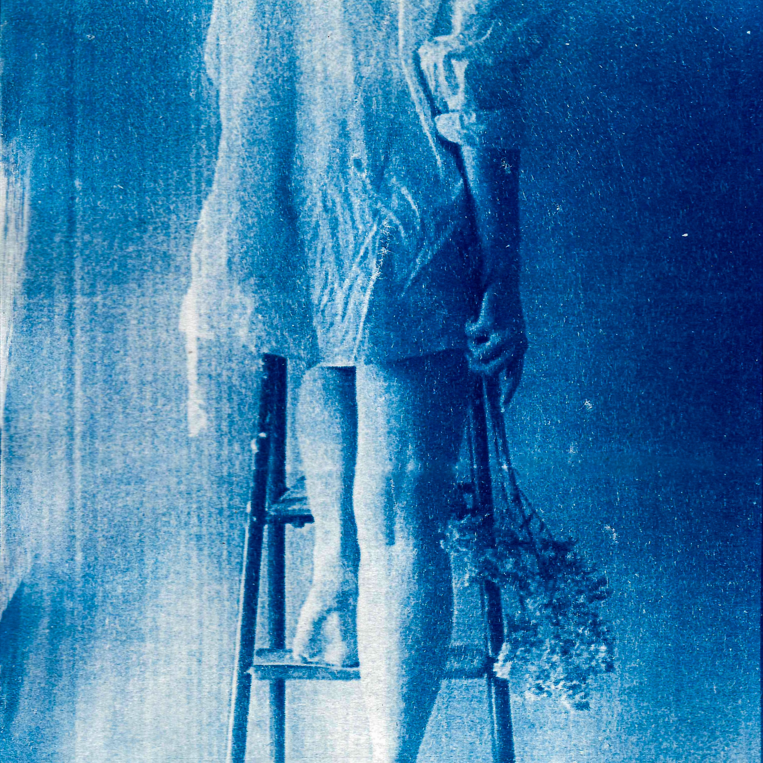 Укрытие. Катрин Эдельвак