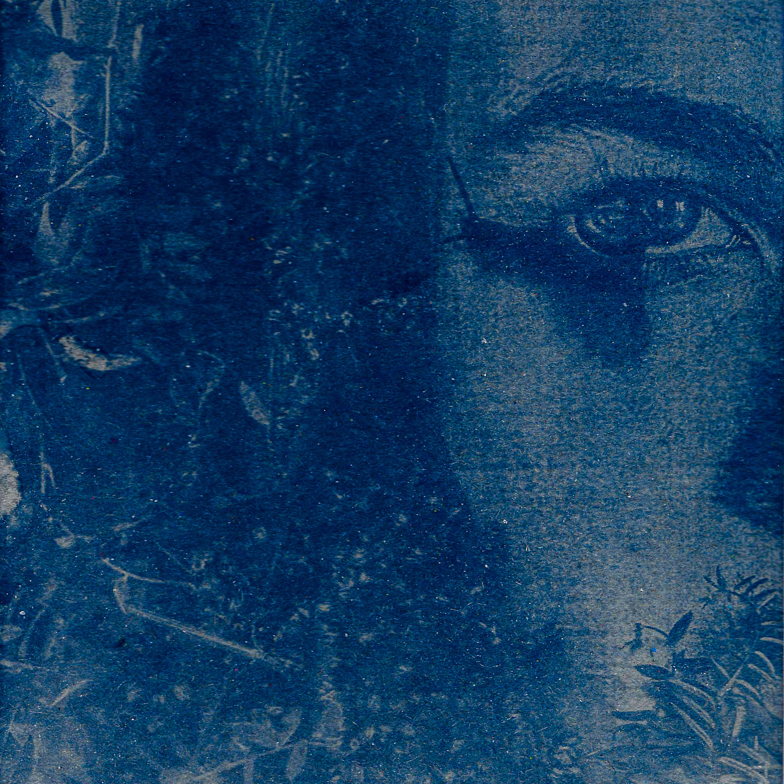 Укрытие. Катрин Эдельвак