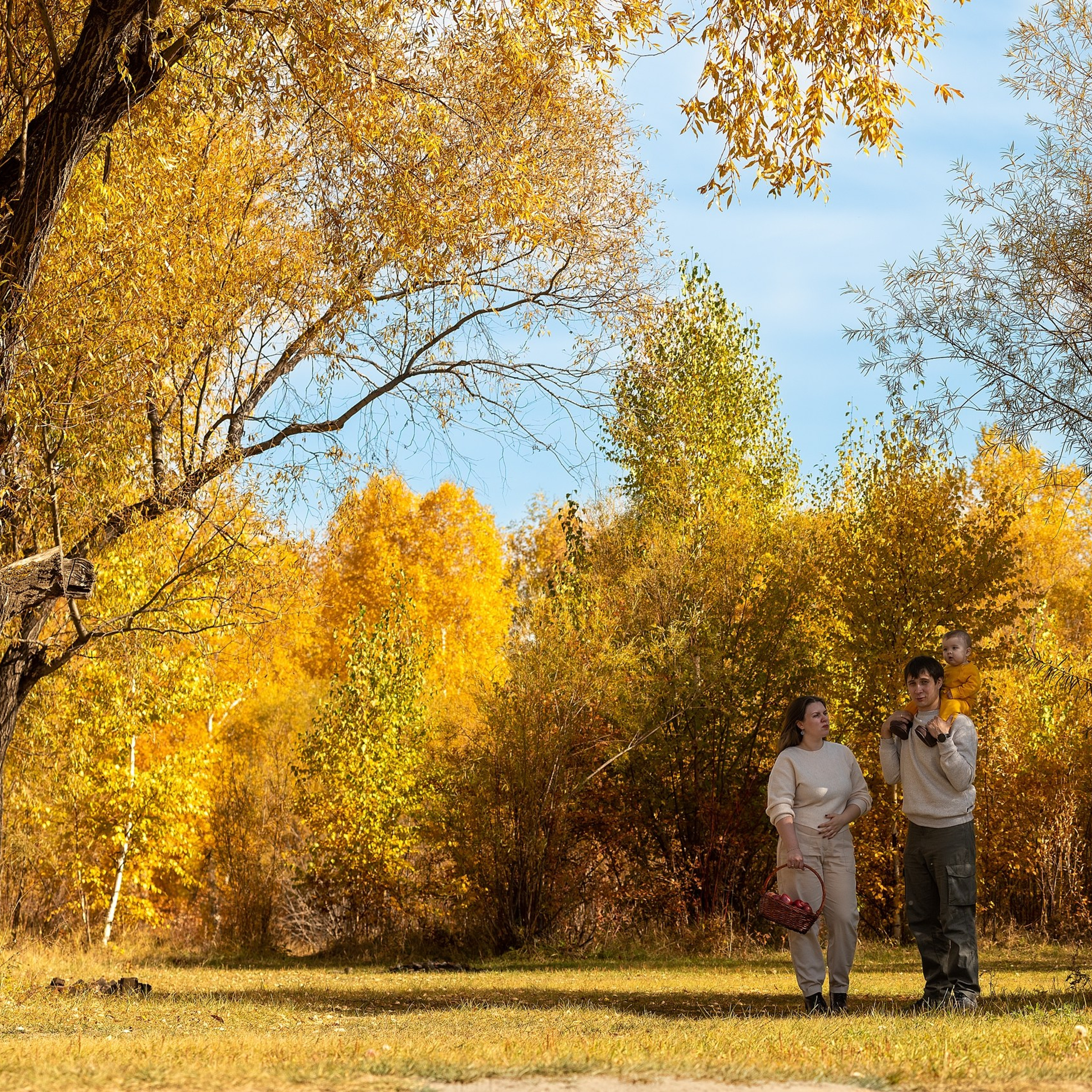 Семейные фотосессии. Главная