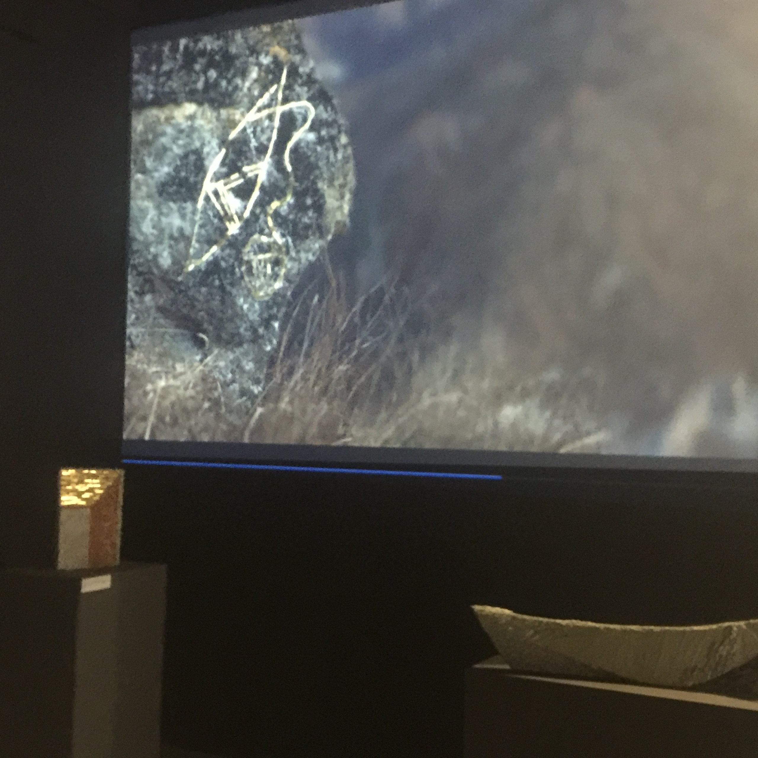 Коровин Олег