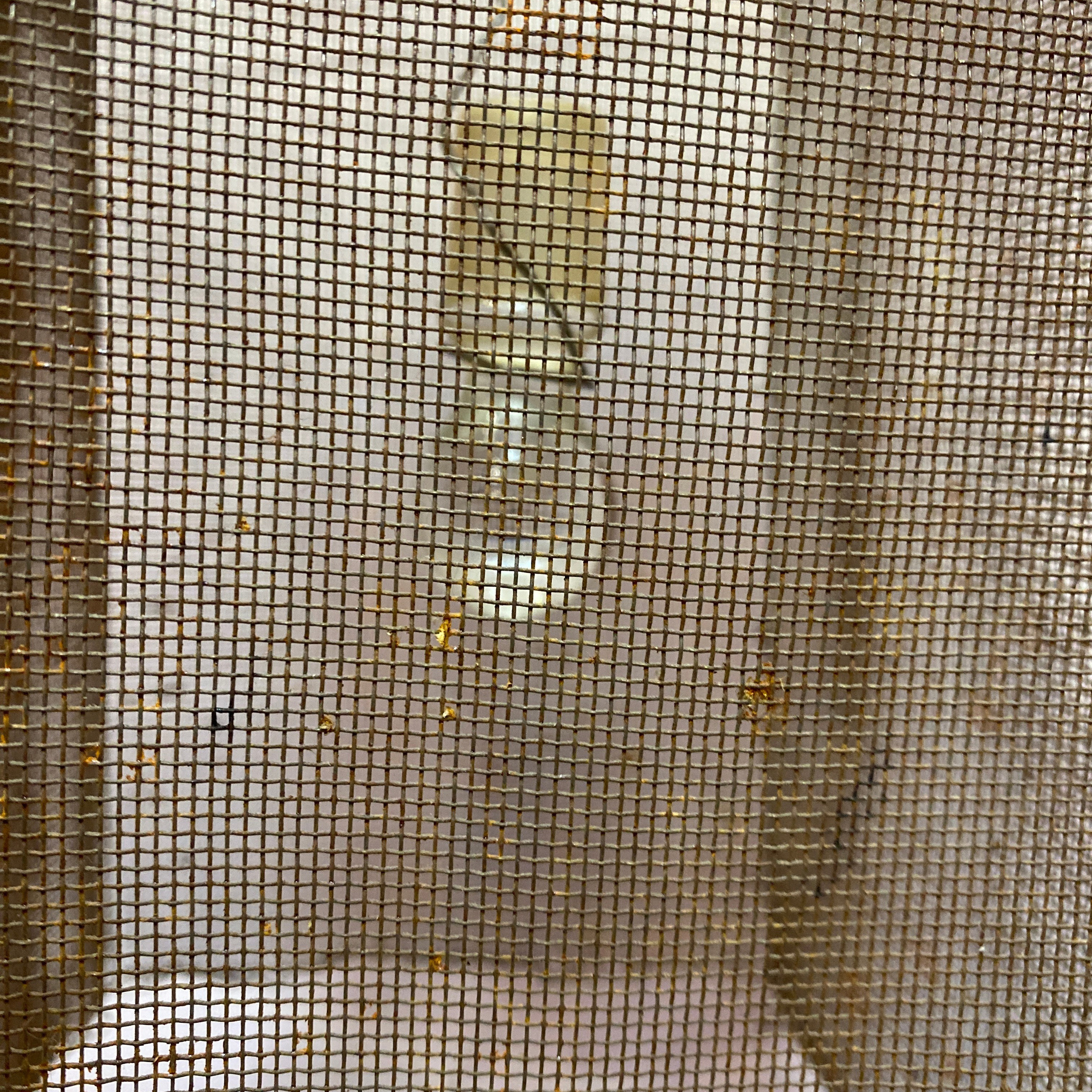 Выставка МОНУМЕНТАЛКА ПОД МИКРОСКОПОМ. Ассоциация художников монументалистов г. Москва