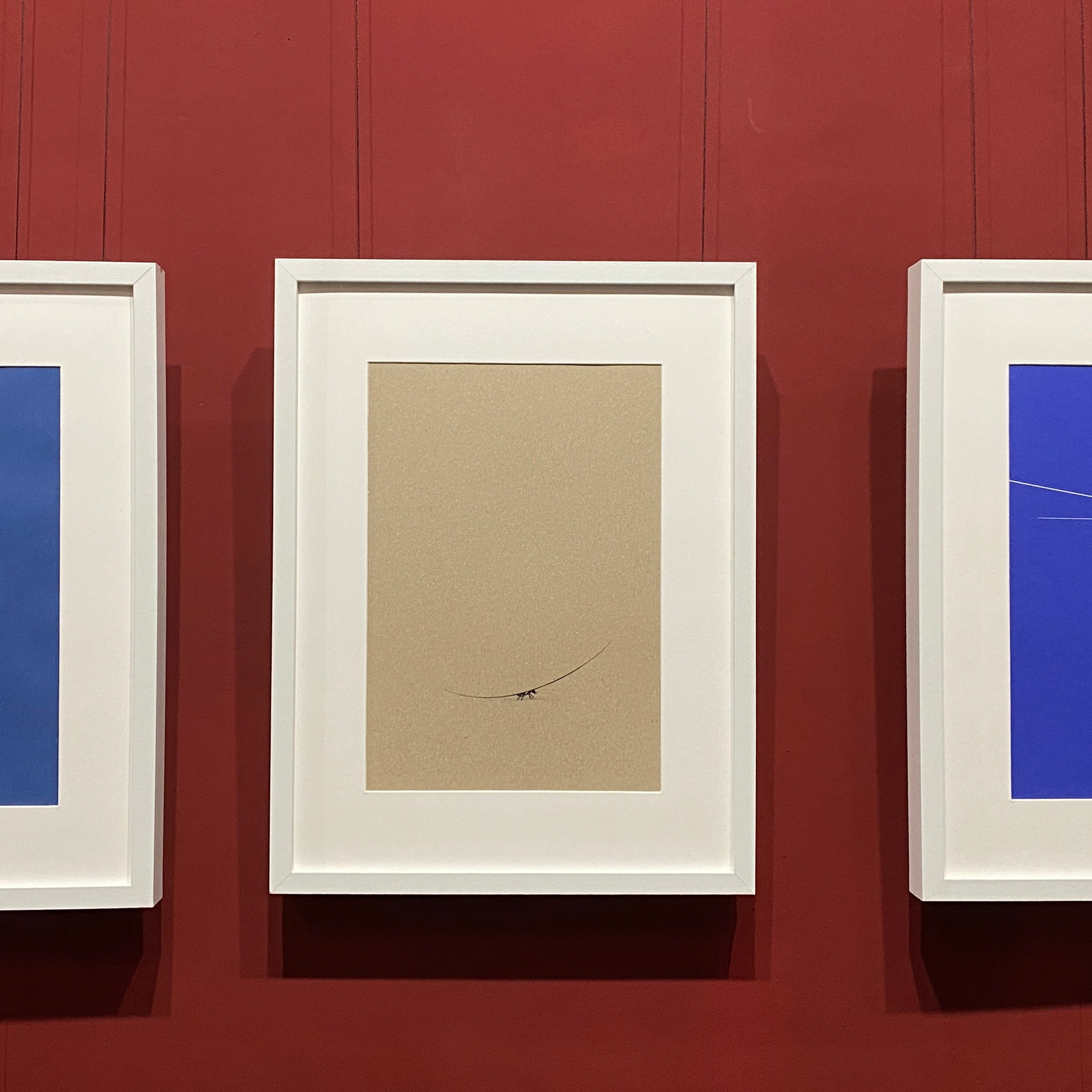 Выставка / БЫКИ И КОМАРЫ /. Ассоциация художников монументалистов г. Москва