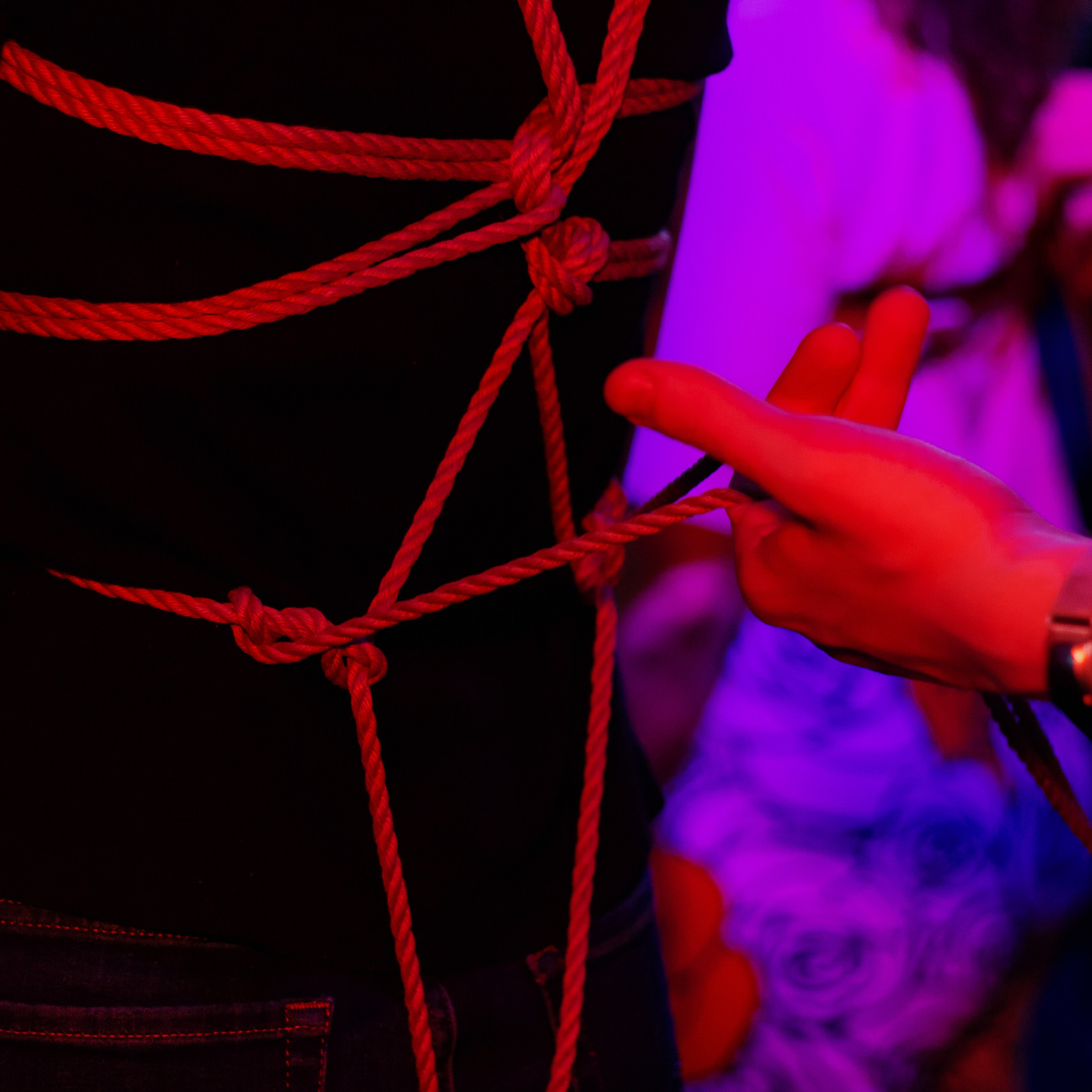 Искусство шибари (18+)