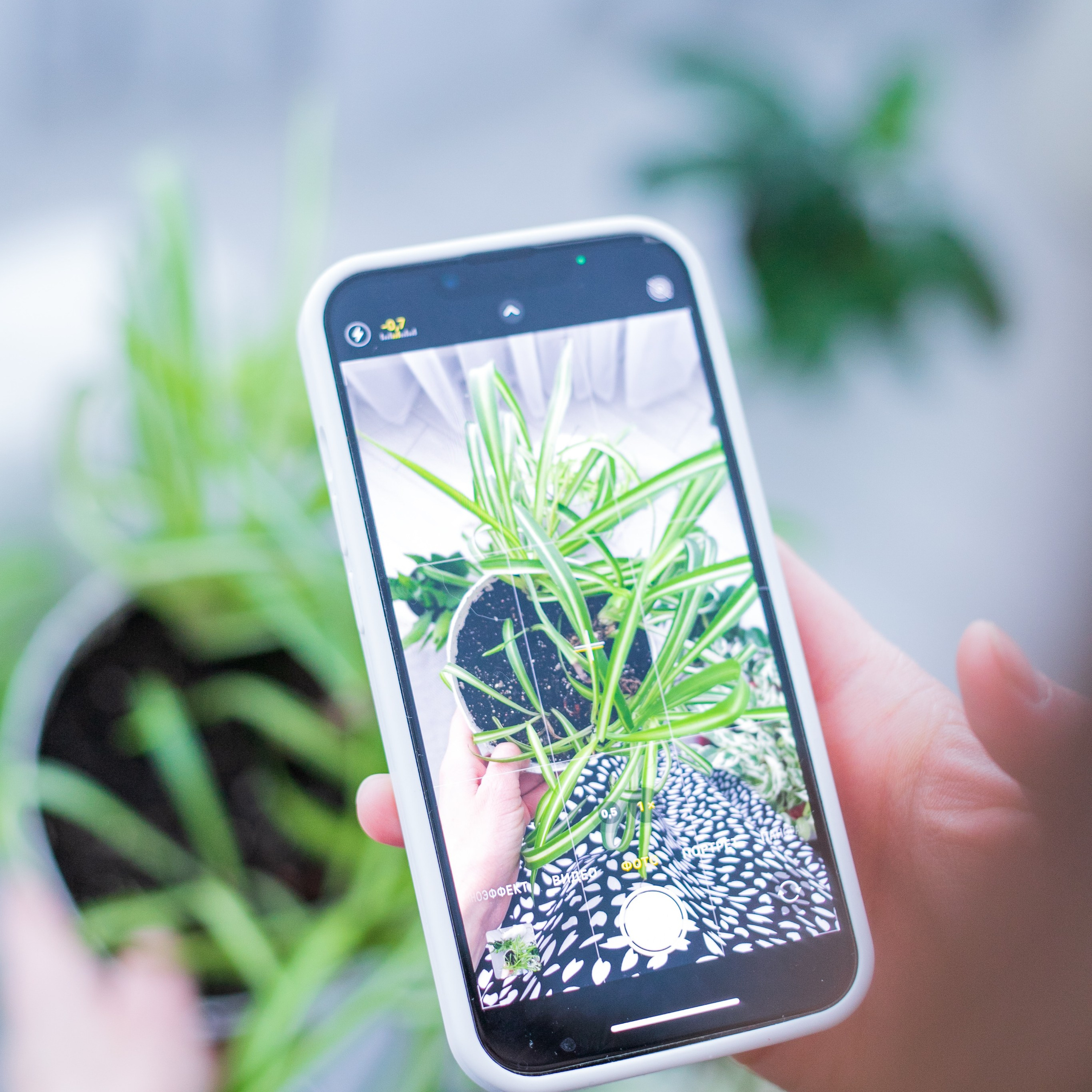 Семейный и детский фотограф в г. Кемерово