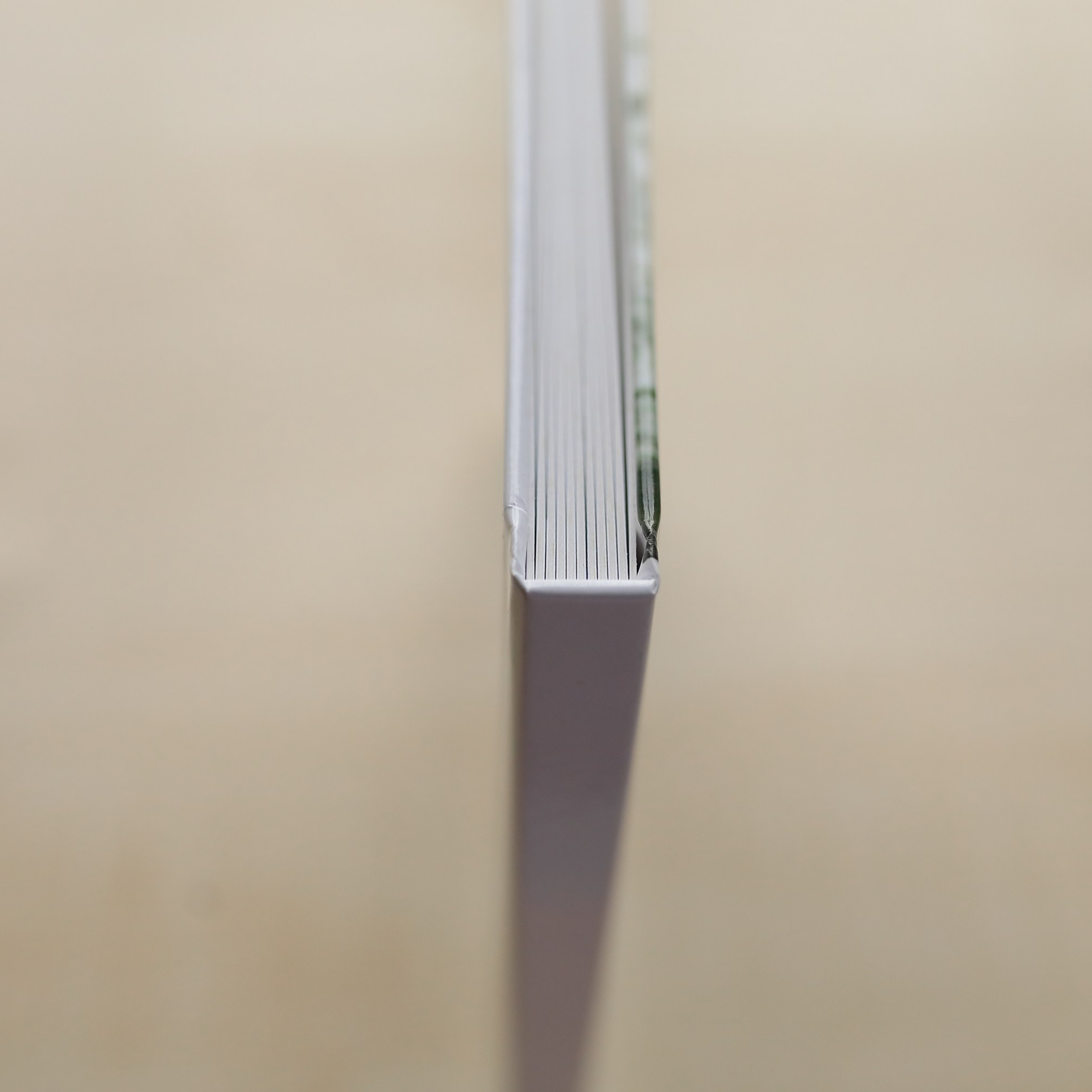 Свадебная фотокнига. Свадебный и семейный фотограф и видеограф в Екатеринбурге Полянские Тимур и Анастасия