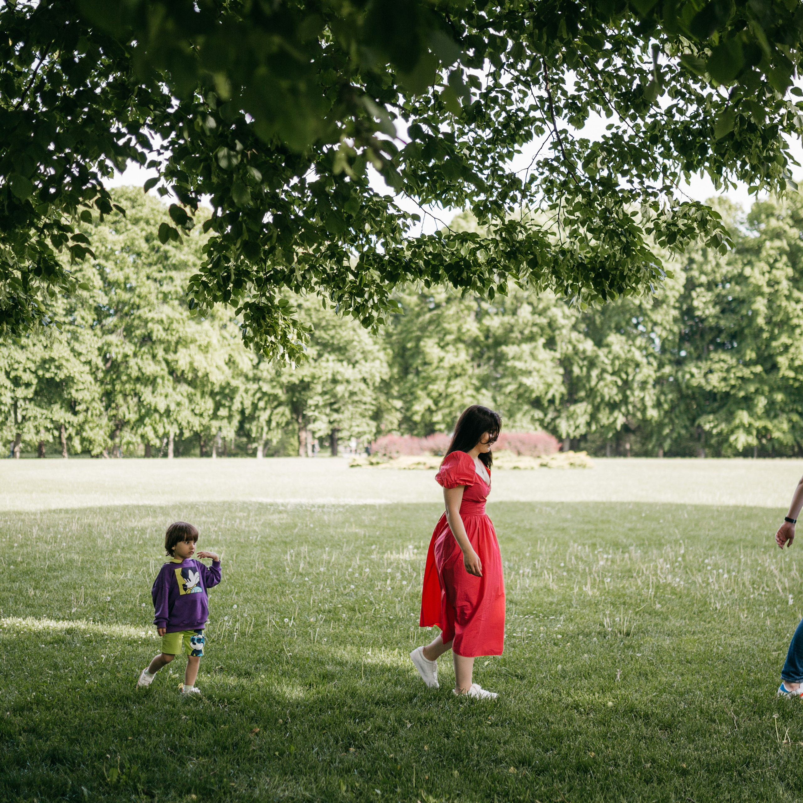 Фотографии о любви