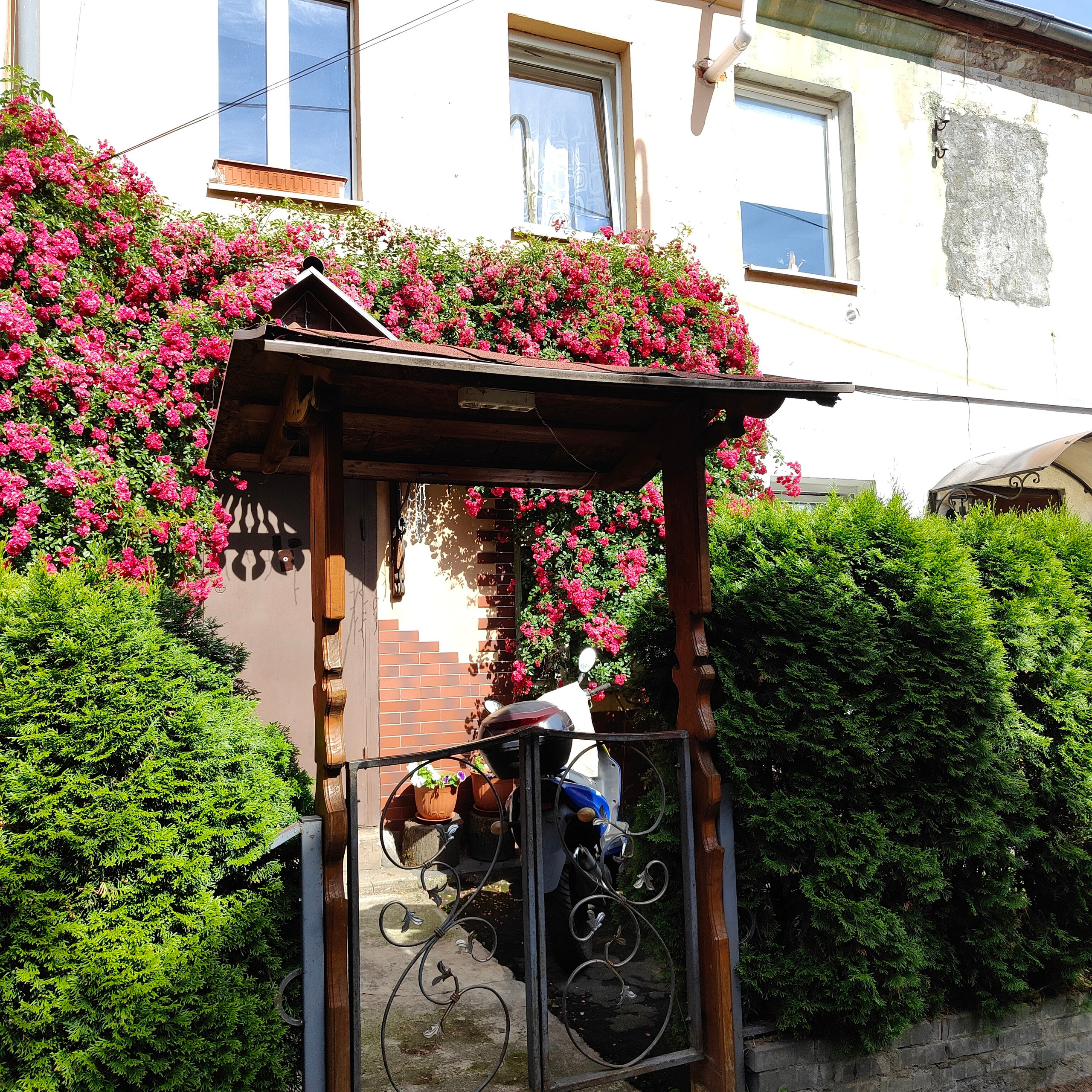 Прогулка по Калининграду в День Рождения. Фотограф-документалист Мария Осокина