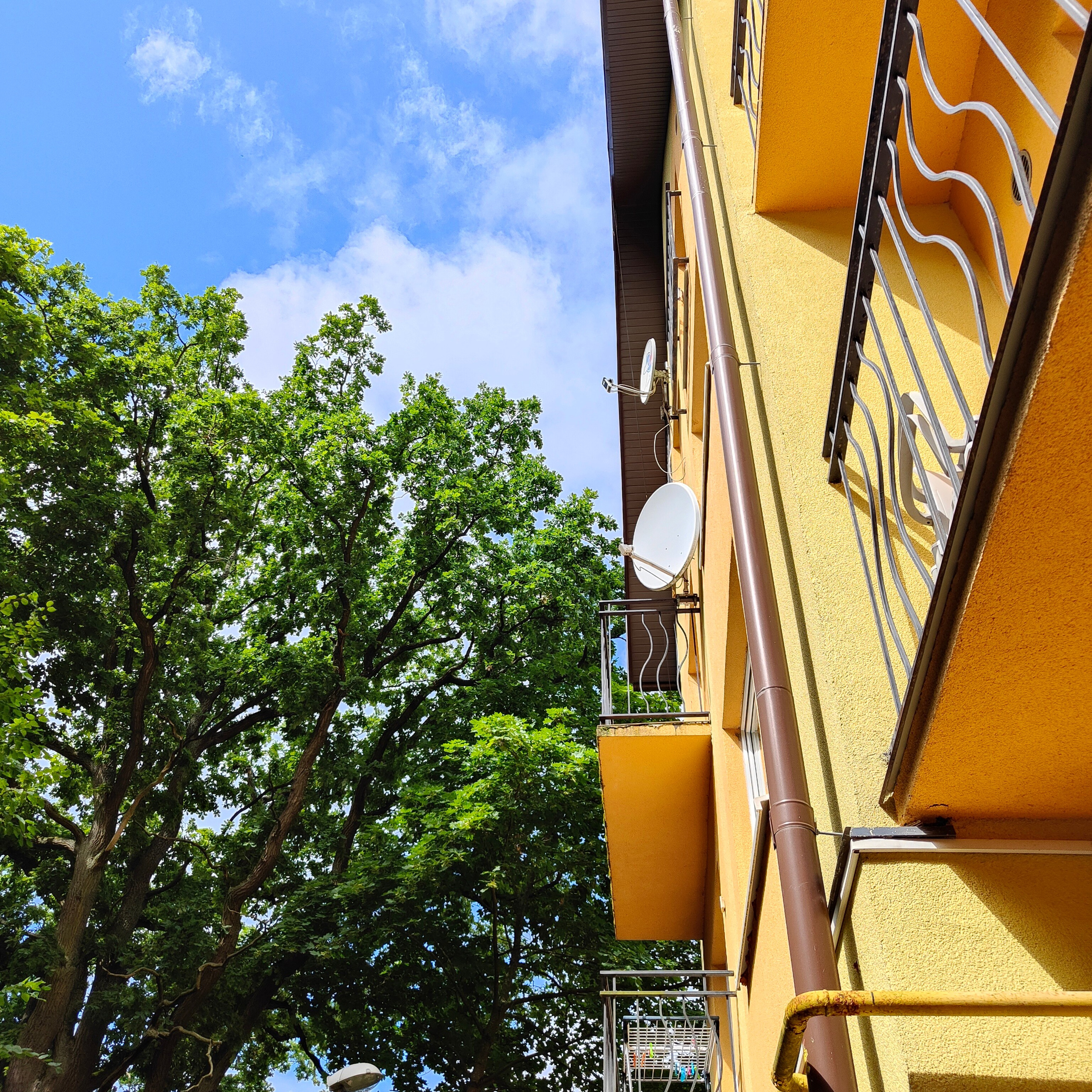 Прогулка по Калининграду в День Рождения. Фотограф-документалист Мария Осокина