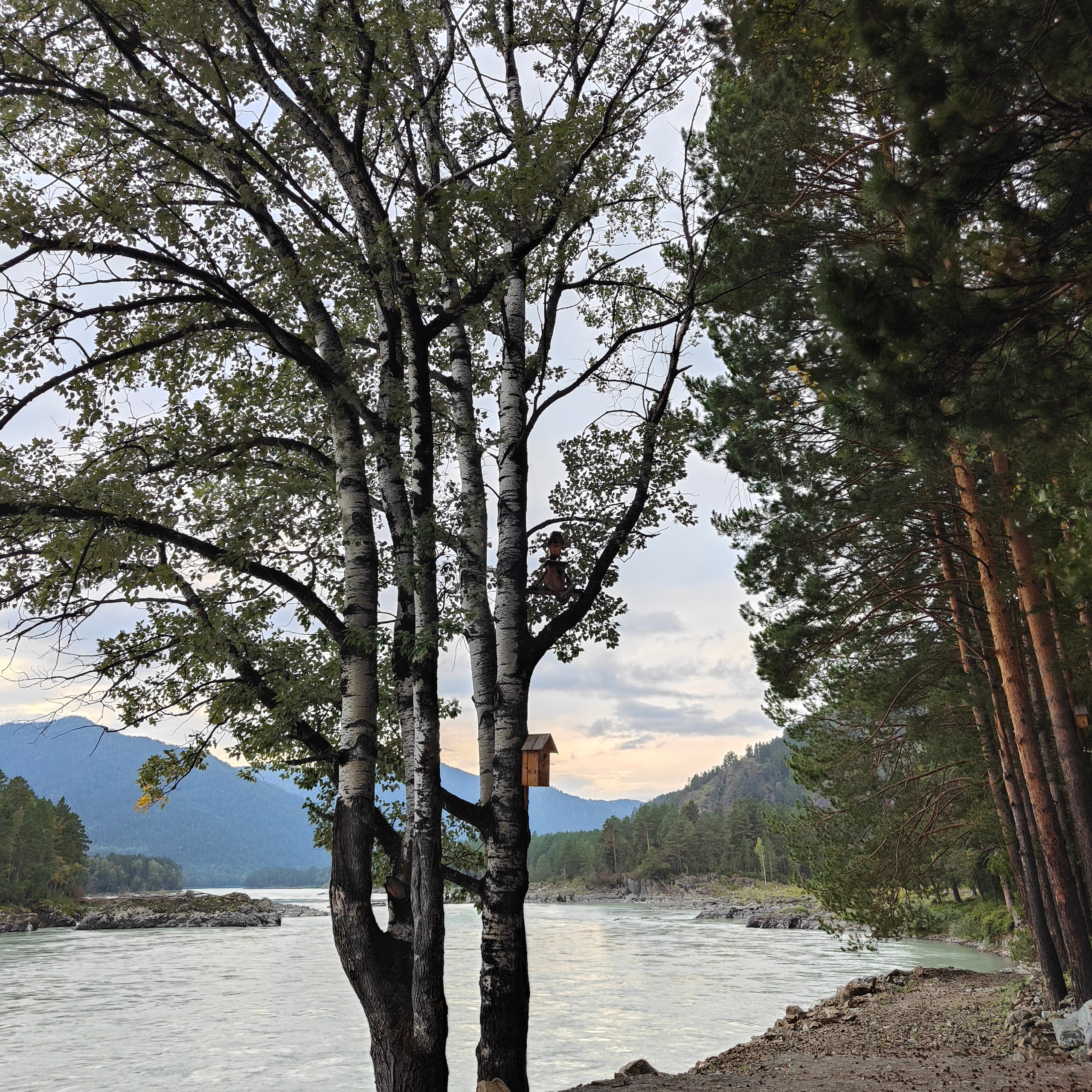 Поездка в Горно-Алтайск. Остров Патмос и Сила Алтая. Фотограф-документалист Мария Осокина