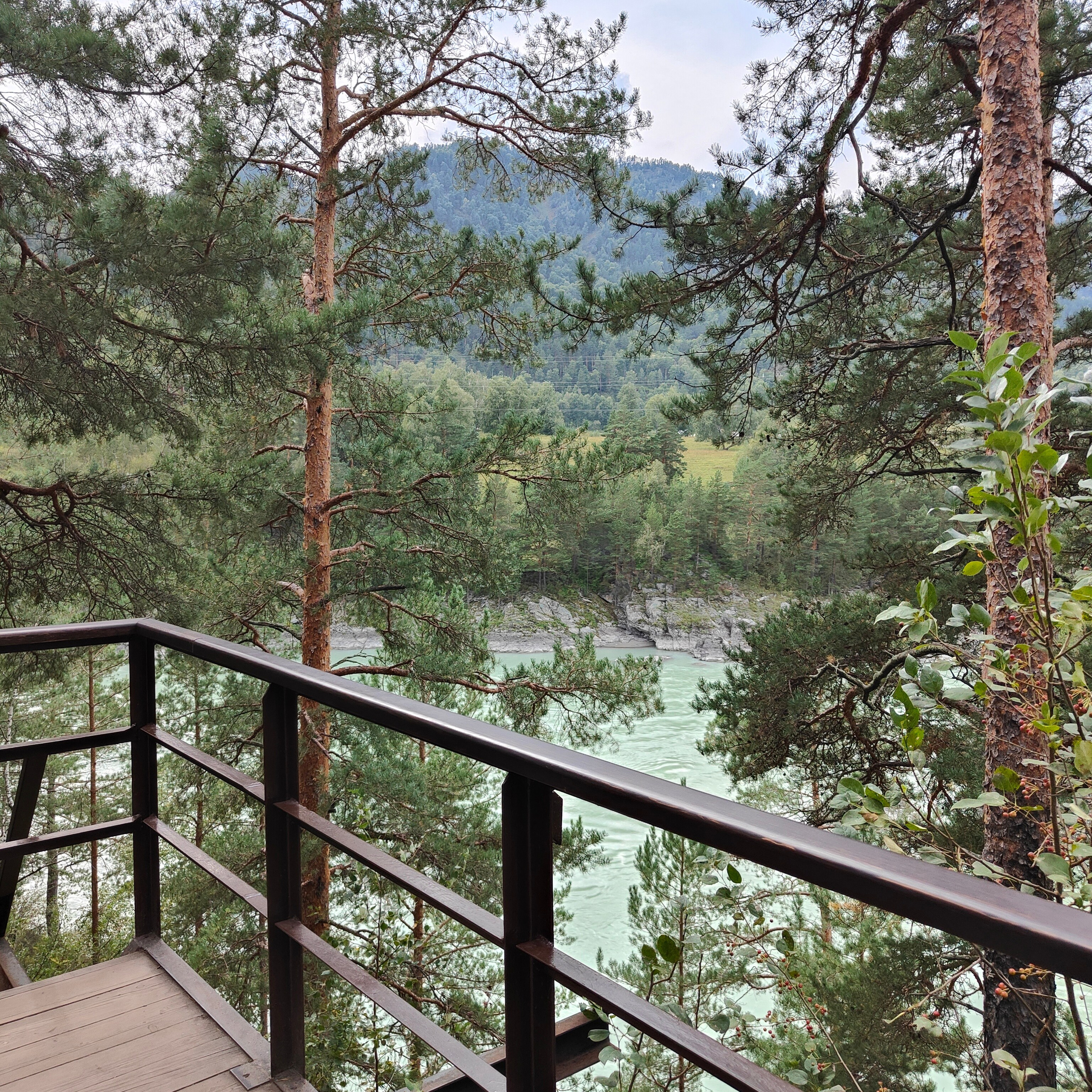 Поездка в Горно-Алтайск. Остров Патмос и Сила Алтая. Фотограф-документалист Мария Осокина