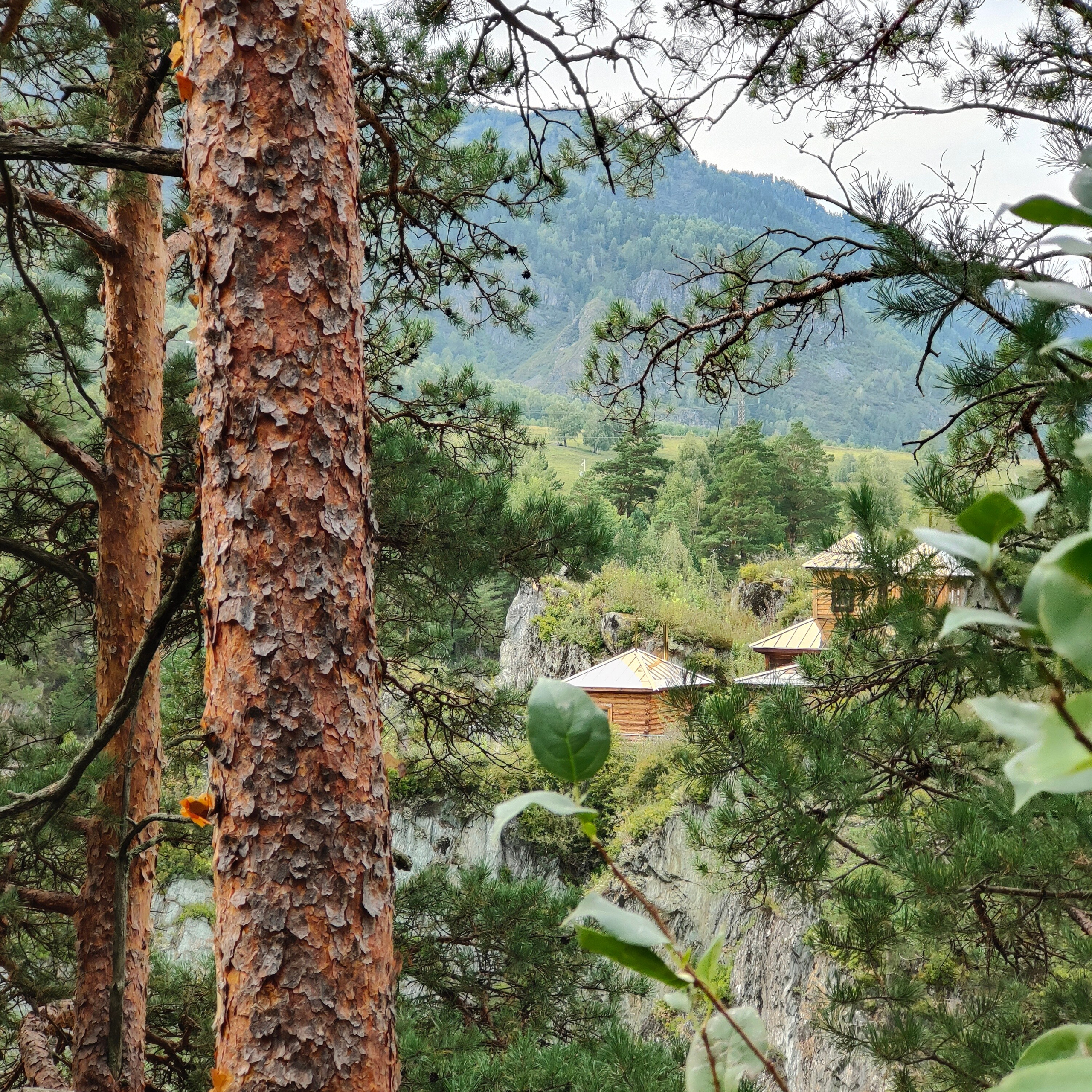 Поездка в Горно-Алтайск. Остров Патмос и Сила Алтая. Фотограф-документалист Мария Осокина
