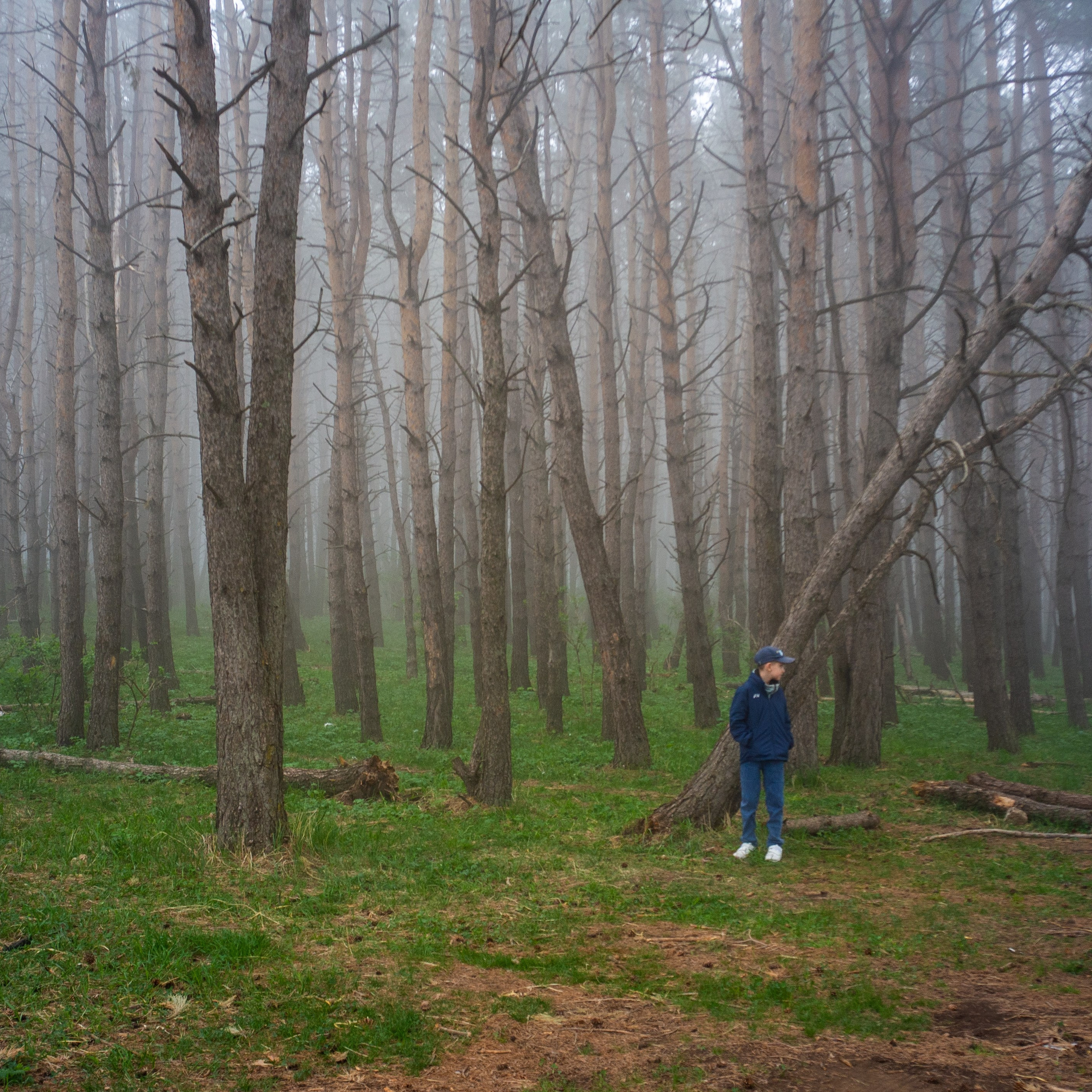 Дорога к Джилы-Су и лошадки в тумане. Фотограф-документалист Мария Осокина
