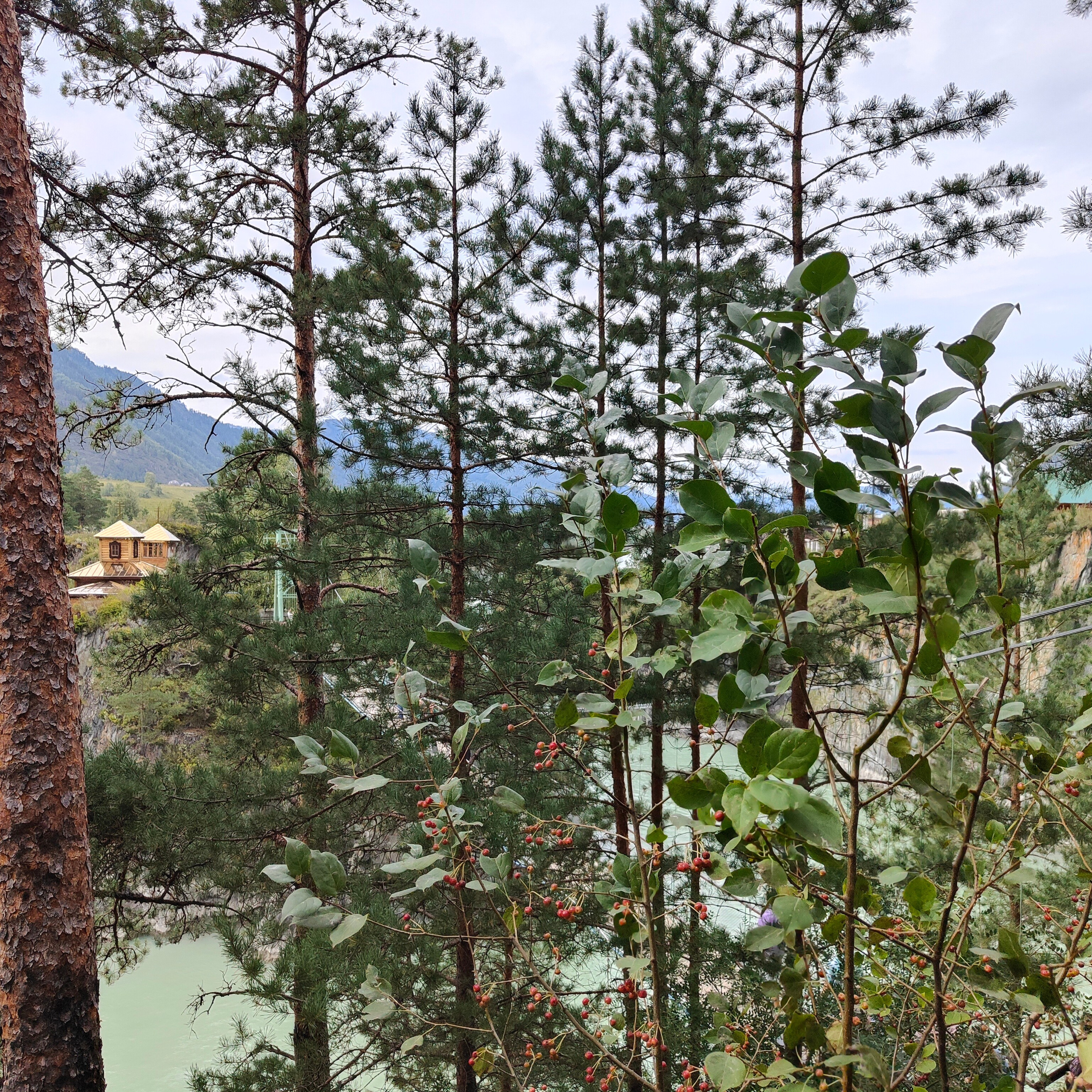 Поездка в Горно-Алтайск. Остров Патмос и Сила Алтая. Фотограф-документалист Мария Осокина