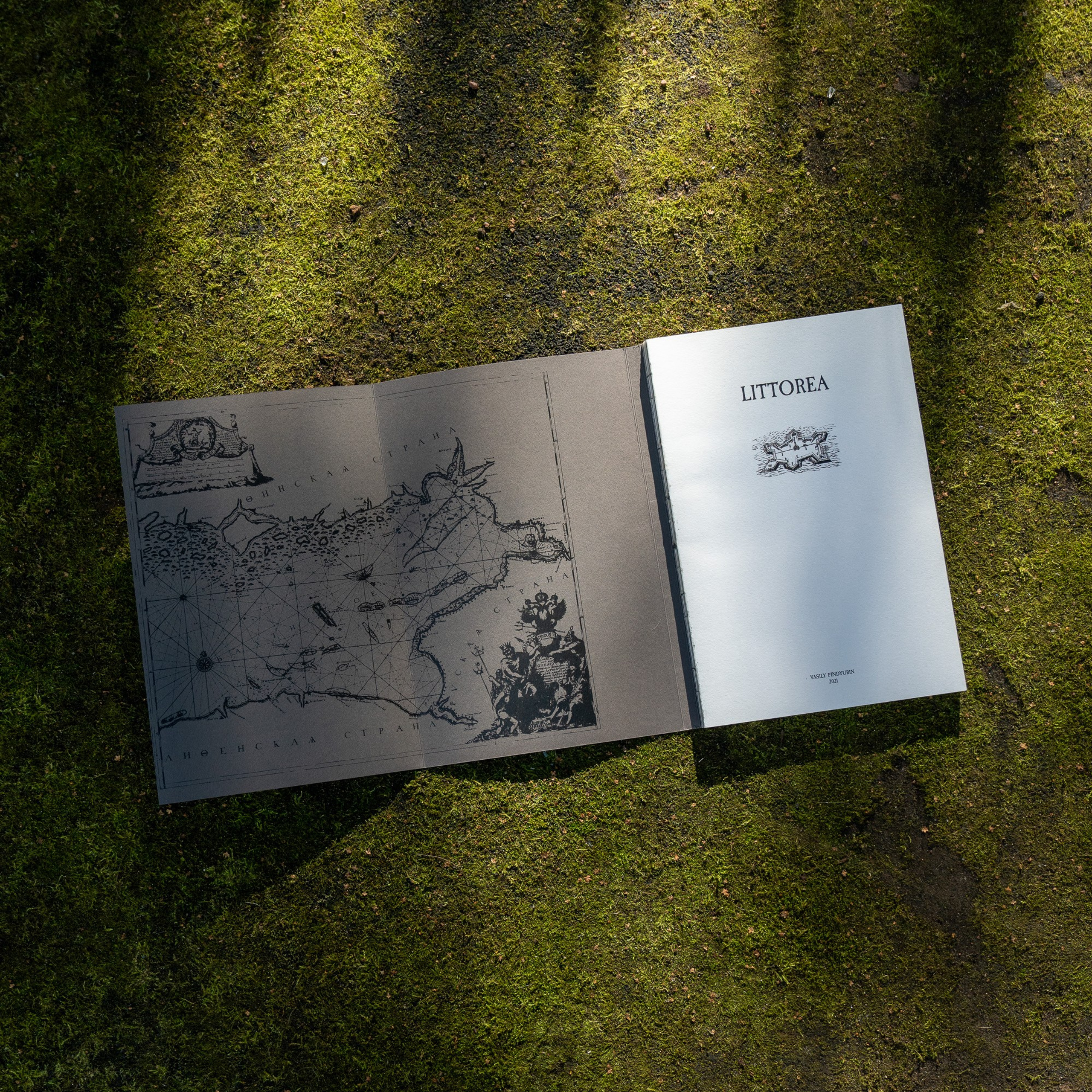 Книги. Василий Пиндюрин визуальный художник