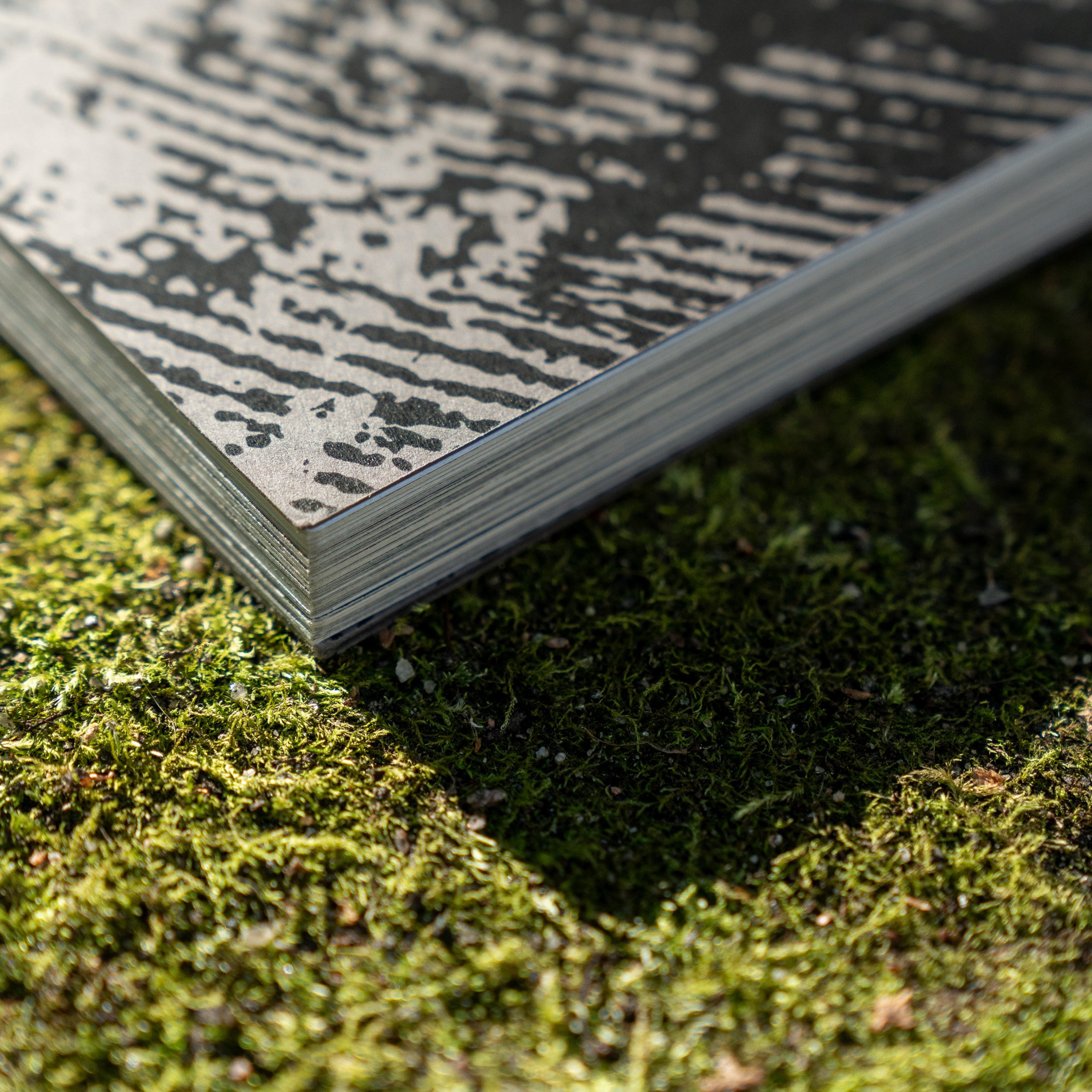 Книги. Василий Пиндюрин визуальный художник