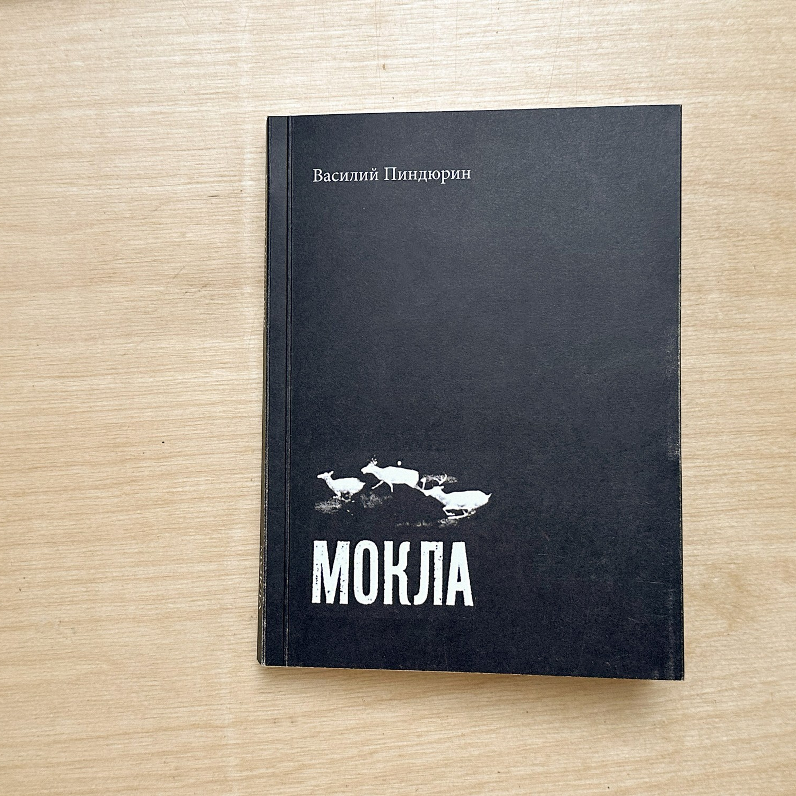 Книги. Василий Пиндюрин визуальный художник