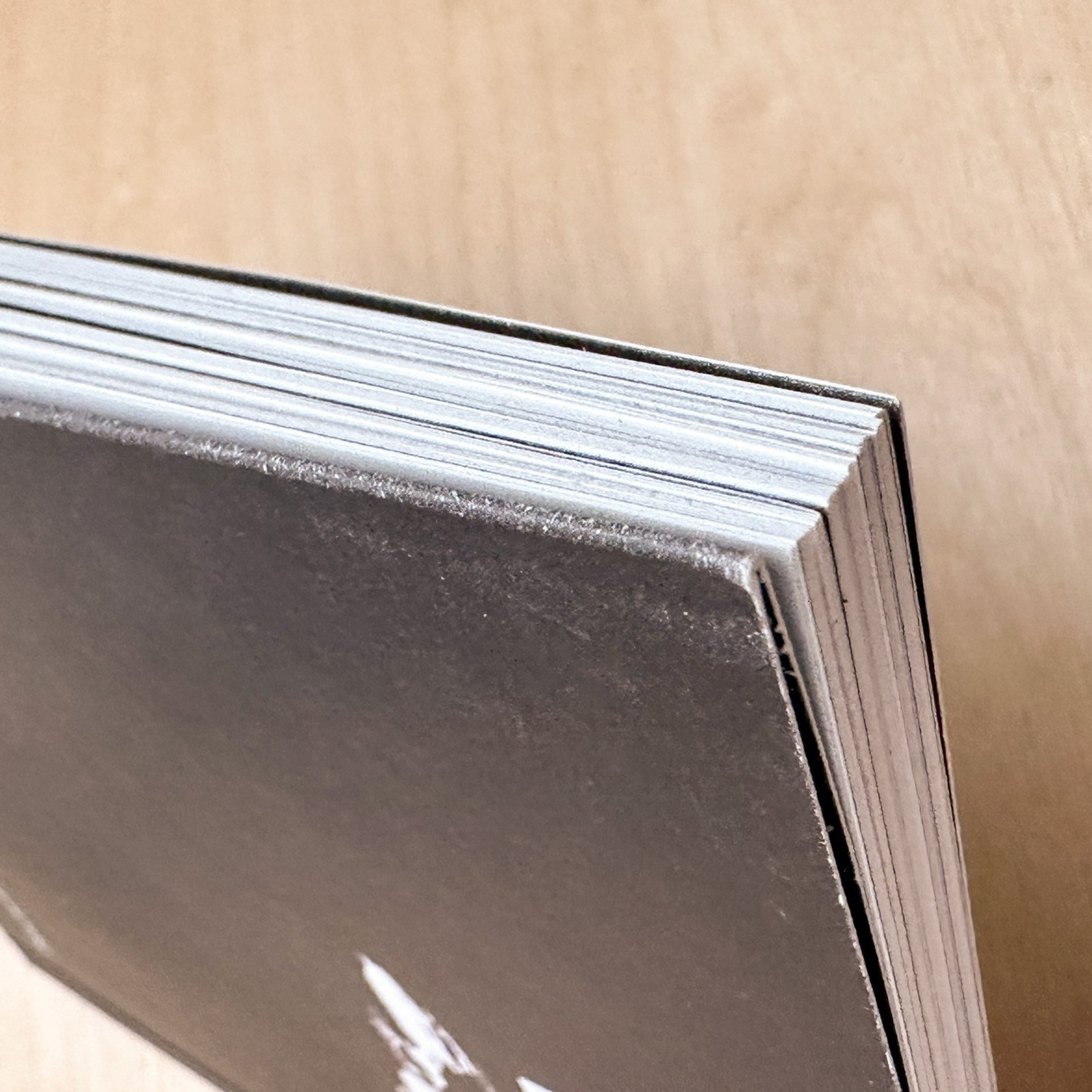 Книги. Василий Пиндюрин визуальный художник