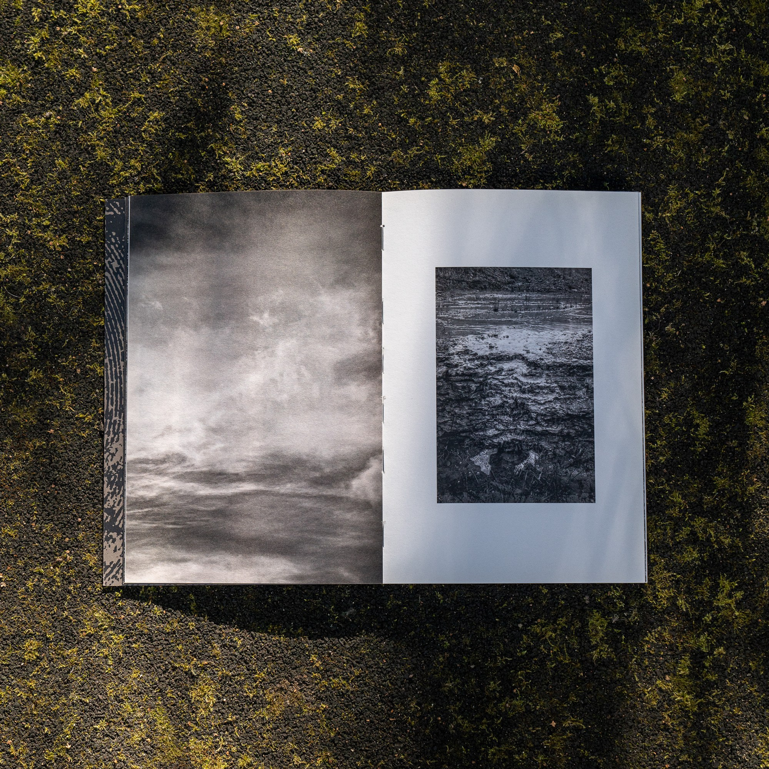 Книги. Василий Пиндюрин визуальный художник