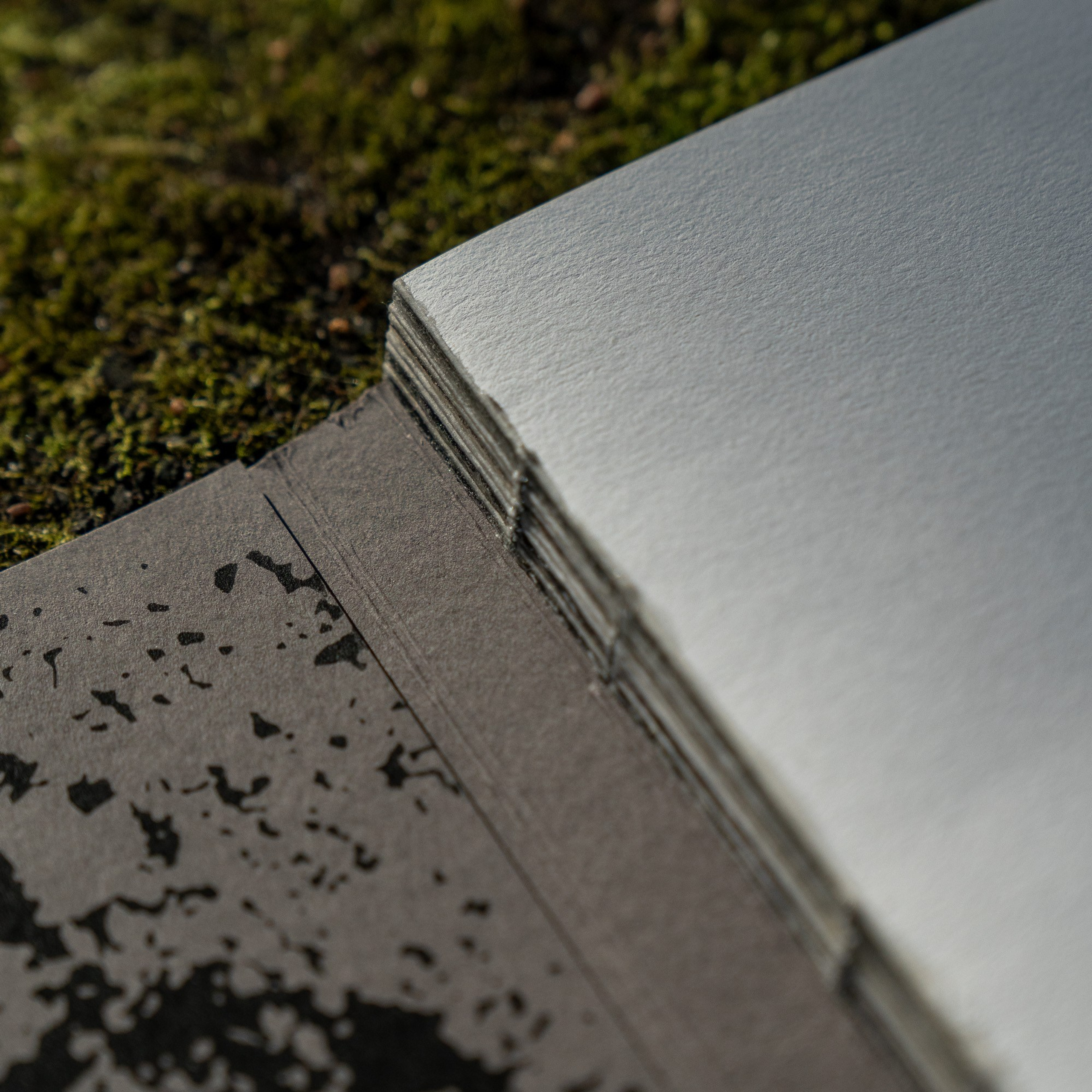 Книги. Василий Пиндюрин визуальный художник